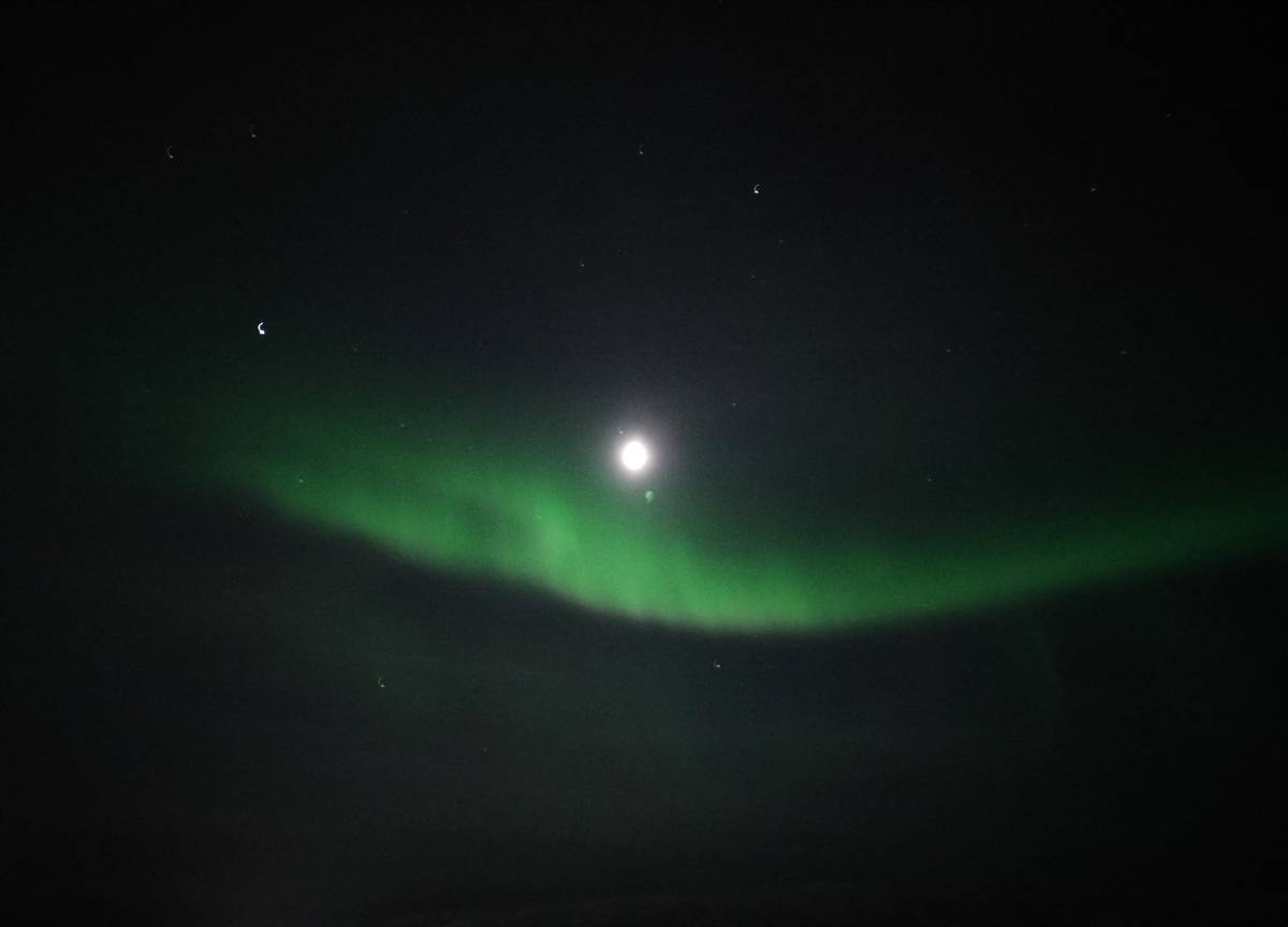 Tromsø: Northern Lights Cruise with 2nd Chance Guarantee