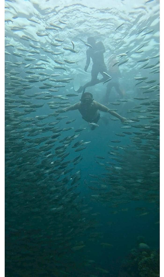 Moalboal scuba diving and Pescador snorkel