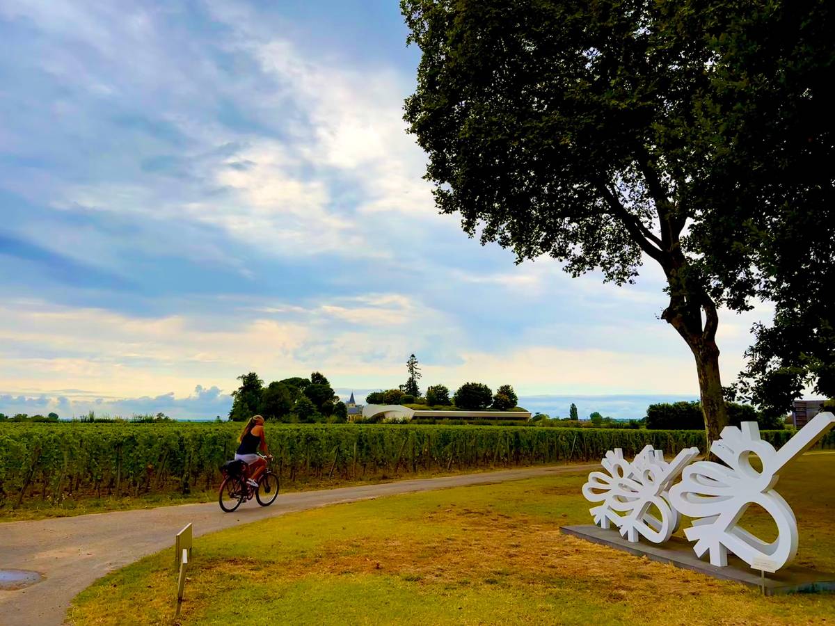 From Saint-Emilion : Half Day Electric Bike Tour