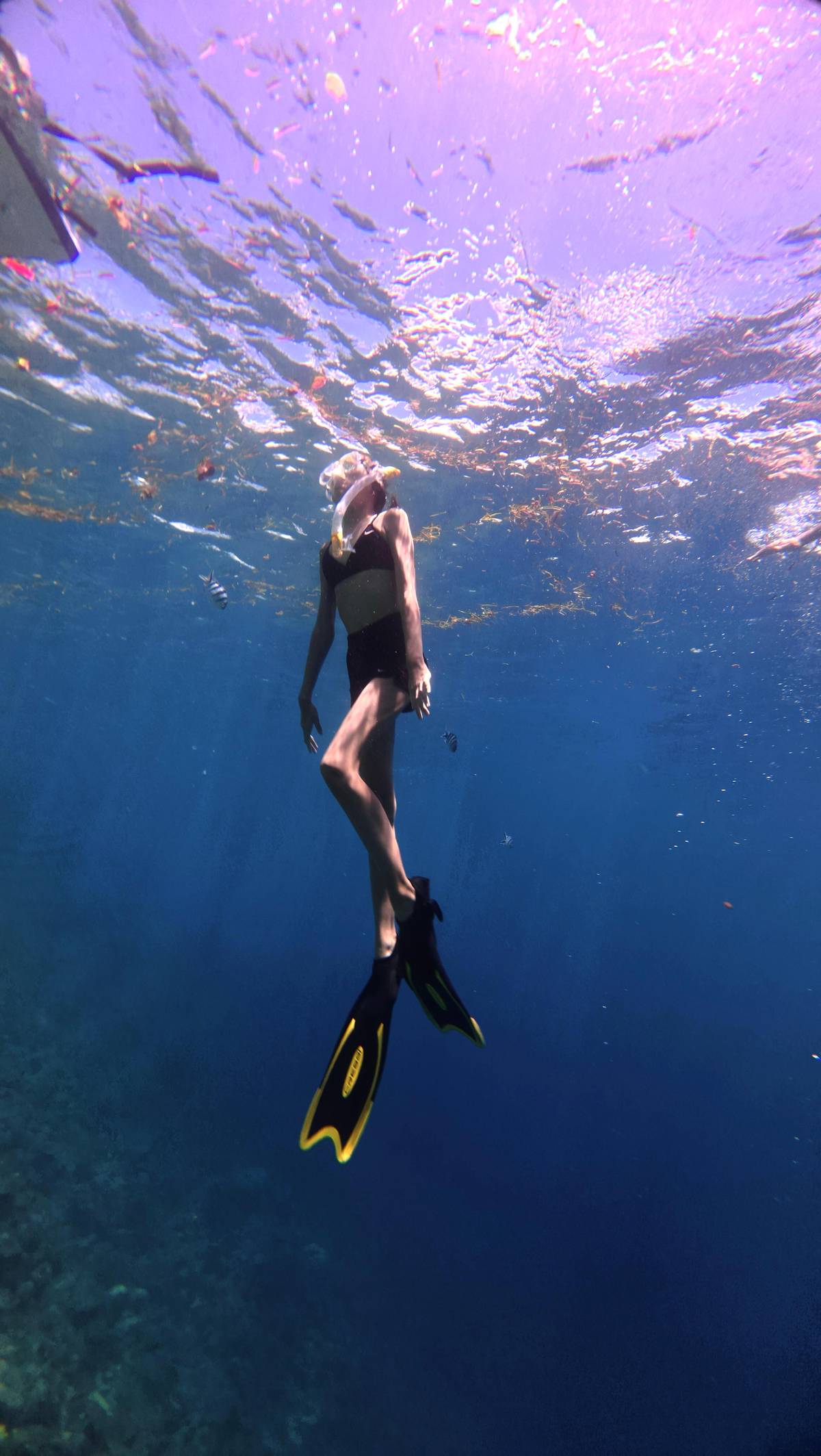 A snorkeler gliding down through the blue