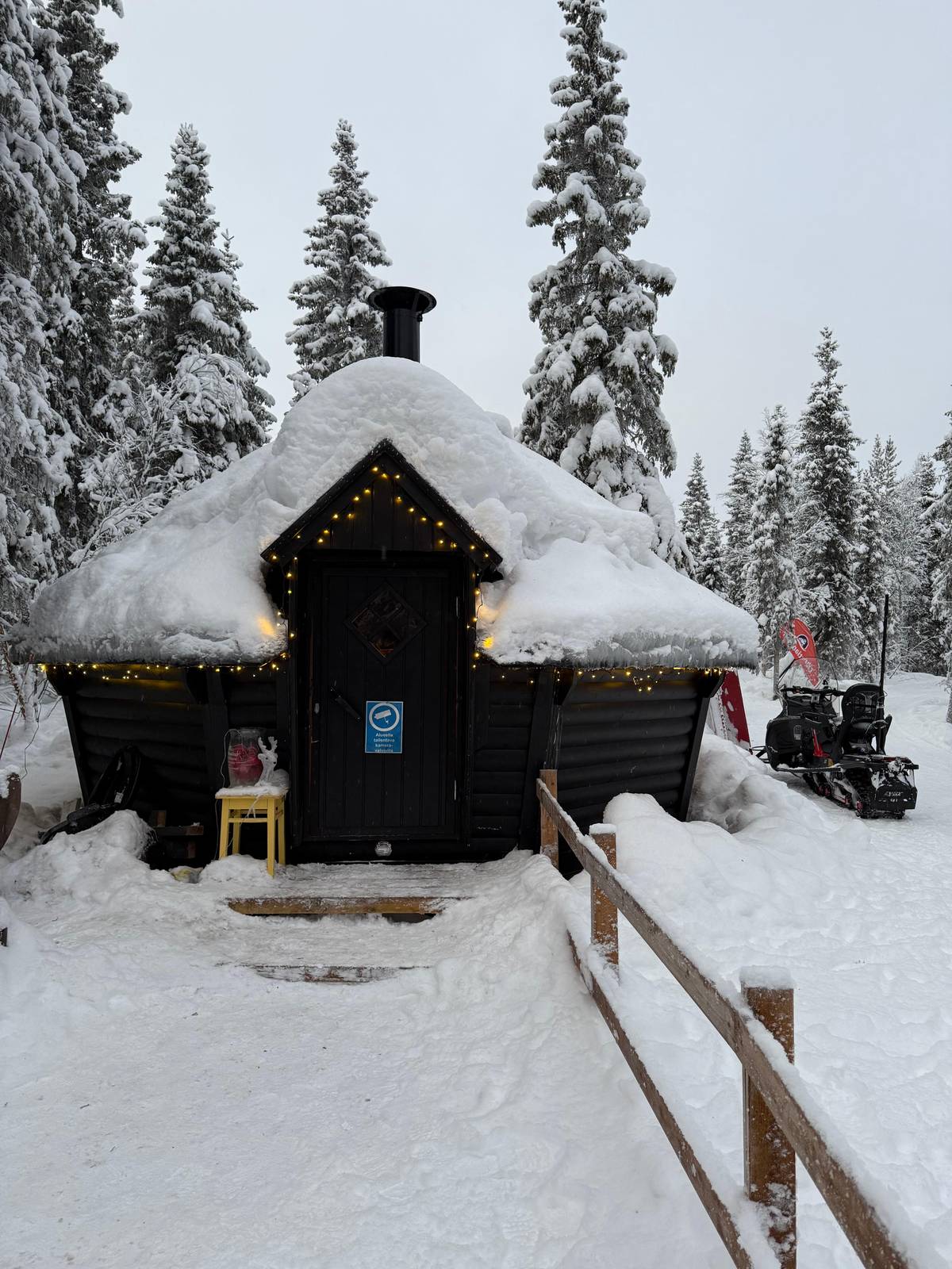 Levi: 3-in-1 Combo with Huskies, Reindeer and a Snowmobile Sleigh Ride