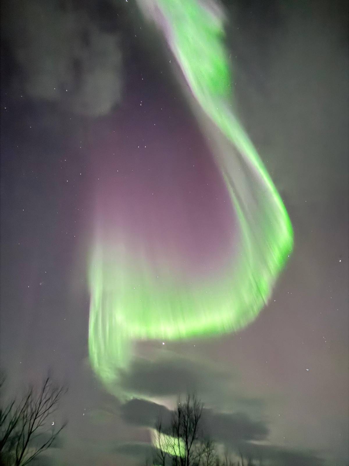 Tromsø: Nordlichtjagd in der Kleingruppe mit Fotos