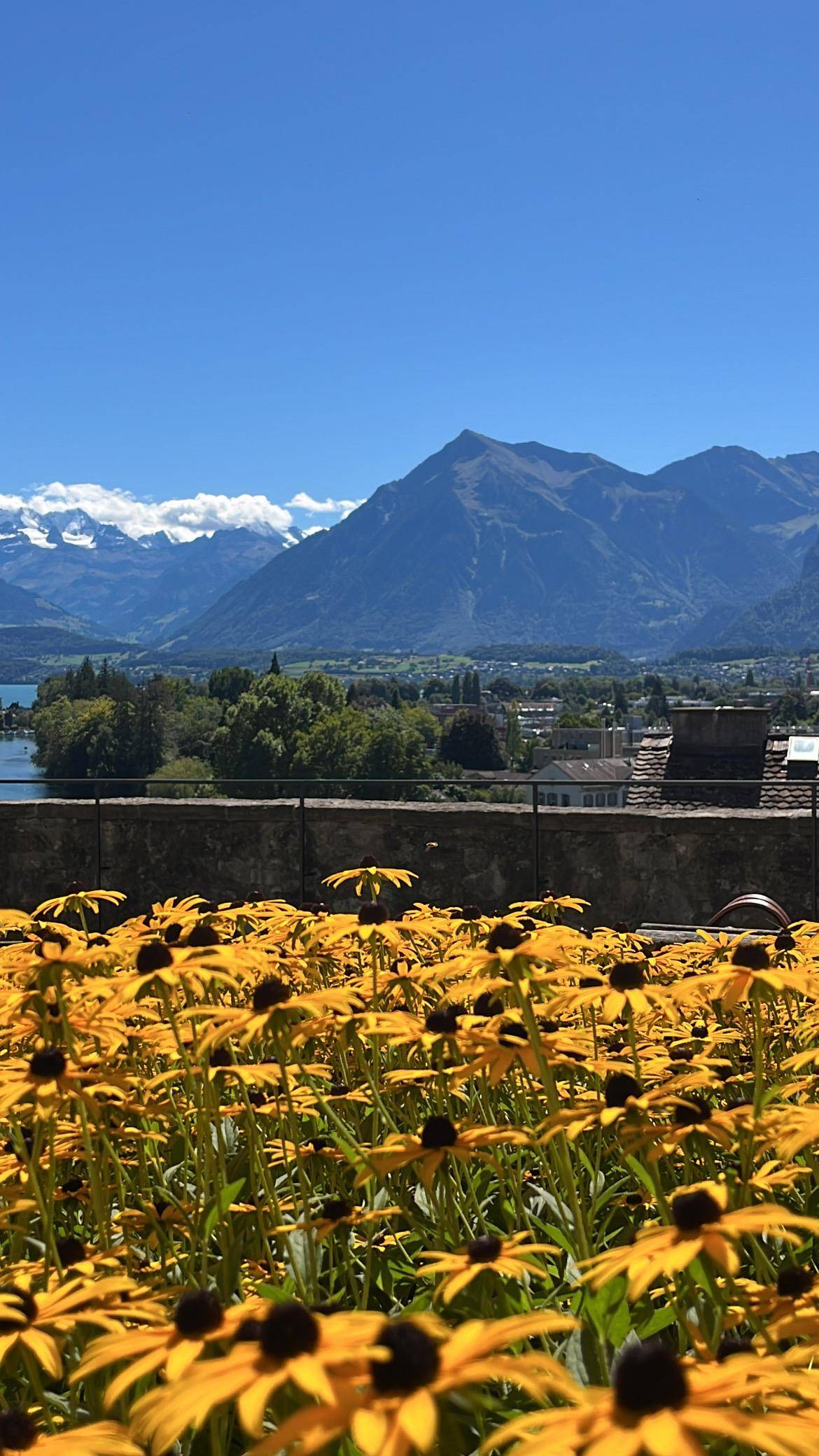 Interlaken: Lake Thun - 3 Castles Tour with Entry Tickets