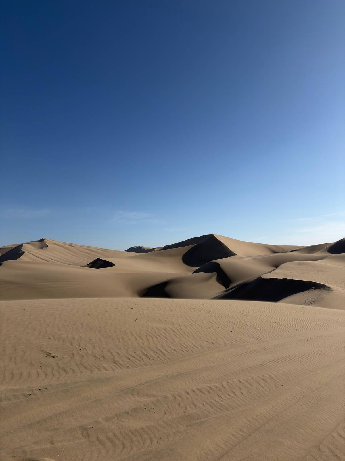Rows of dune crests under a clear sky