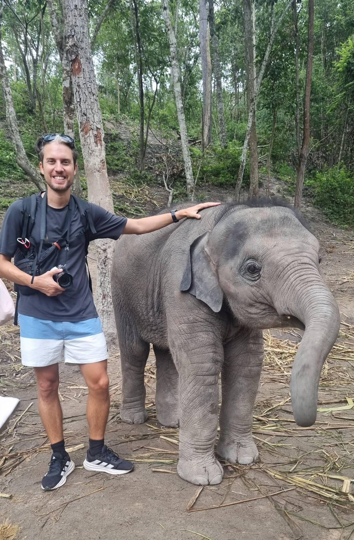 Chiang Mai: Elephant Sanctuary & Waterfall Group Tour