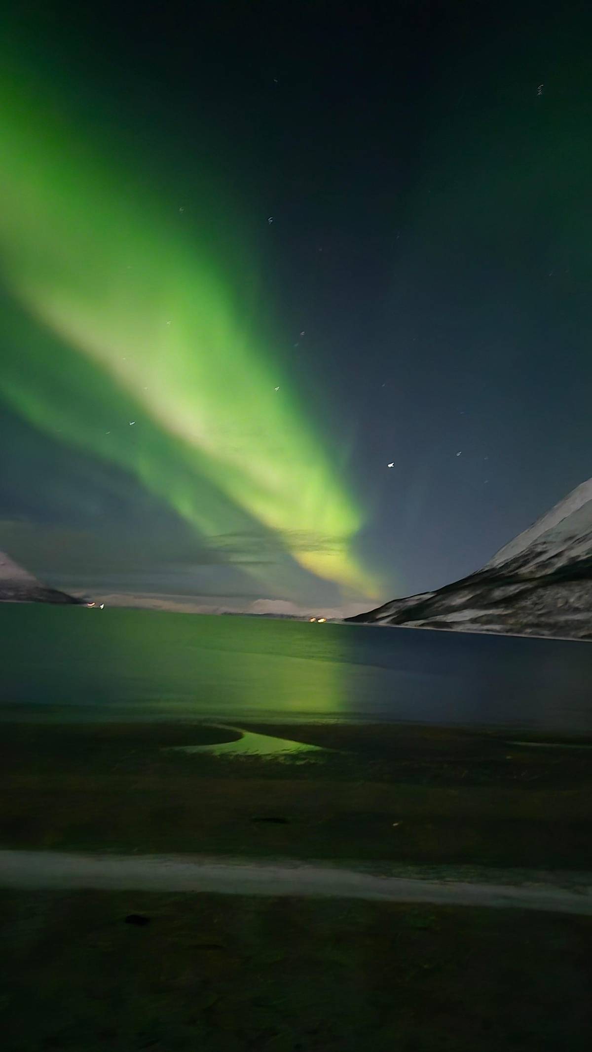 Tromsø: Reindeer Camp Visit & Aurora Chase