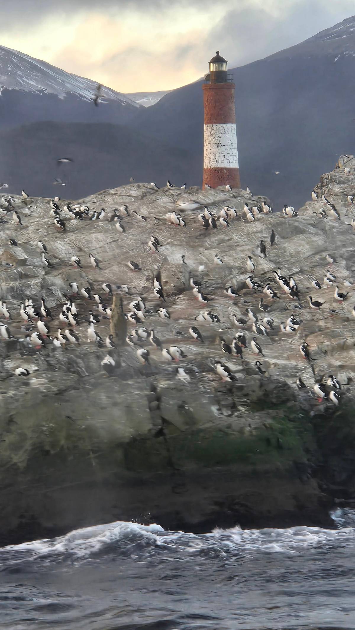 From Ushuaia: Beagle Channel Catamaran Cruise