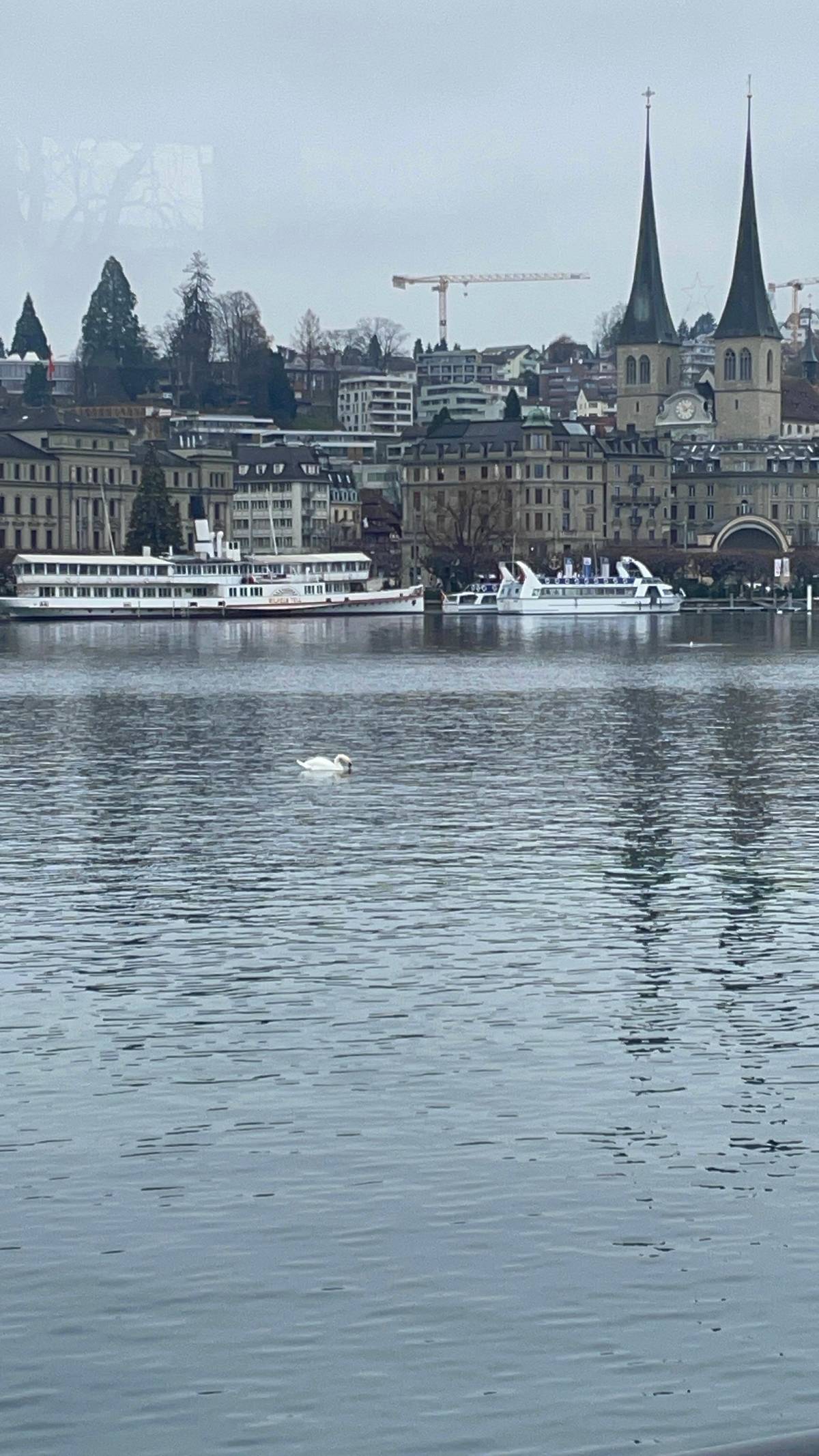 Lake Lucerne boat tours: which cruise to choose