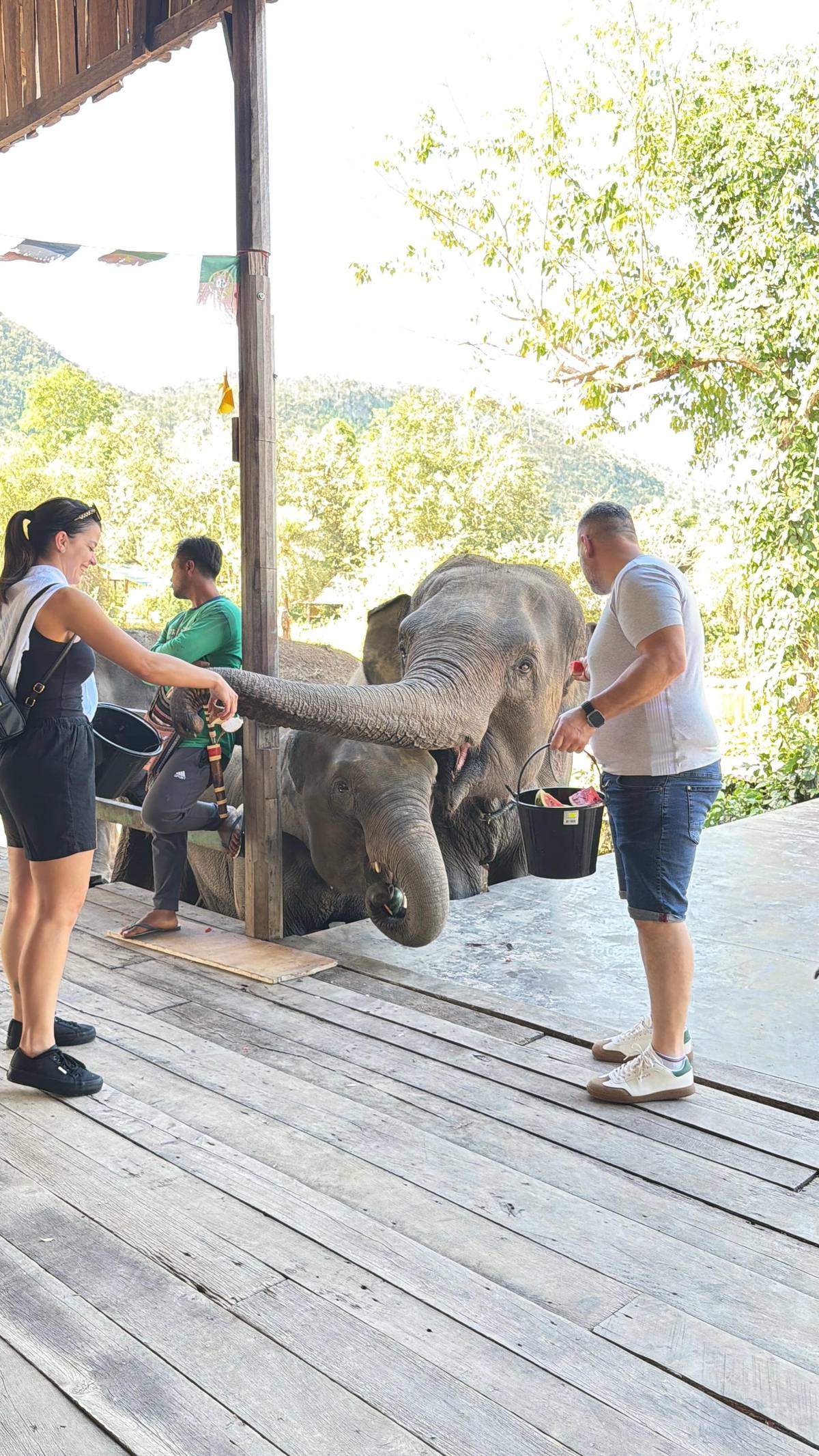 From Bangkok: Elephant Sanctuary and Kanchanaburi Tour