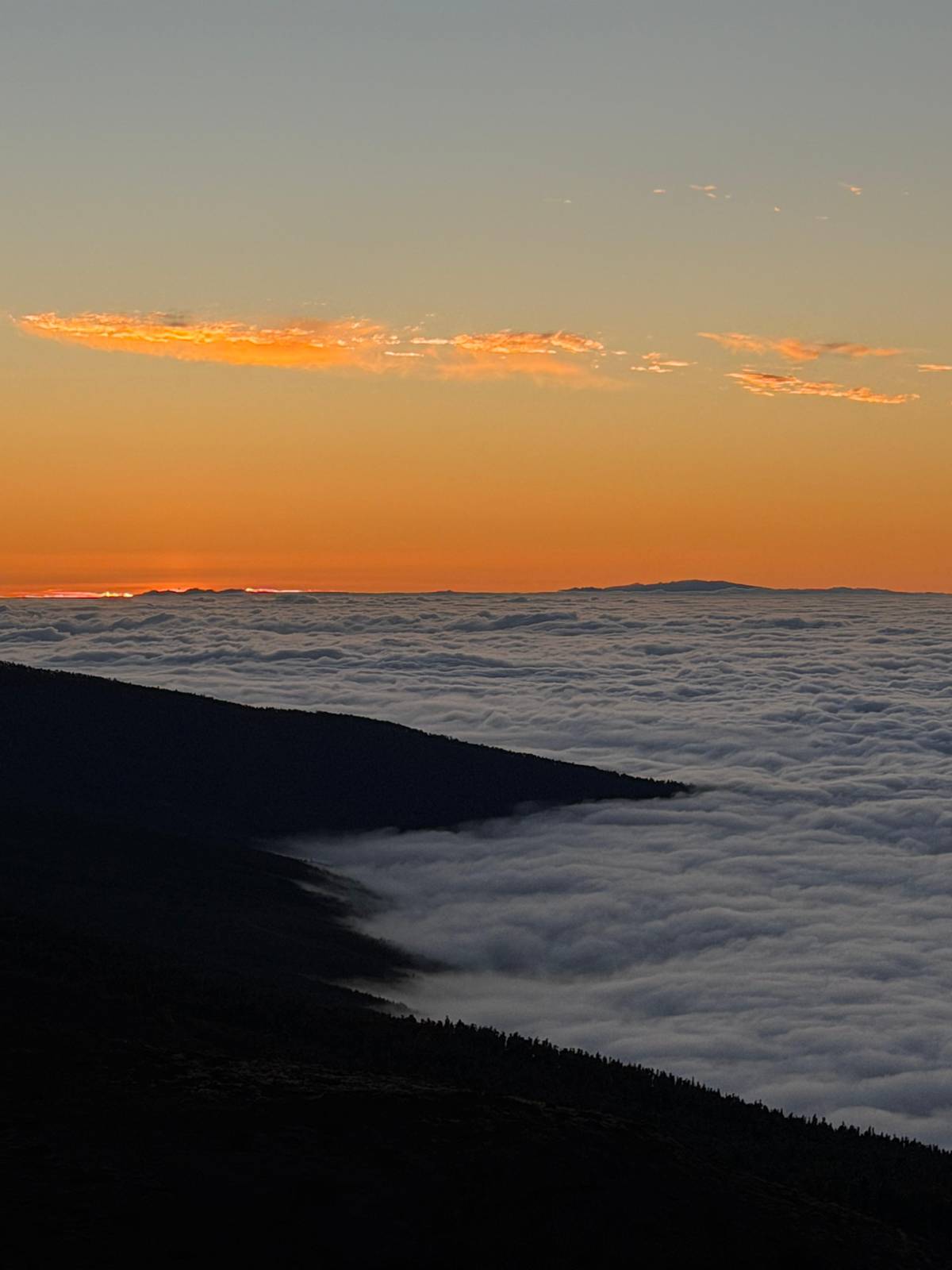 Teide: Guided Sunset and Stargazing Tour by Night with Dinner