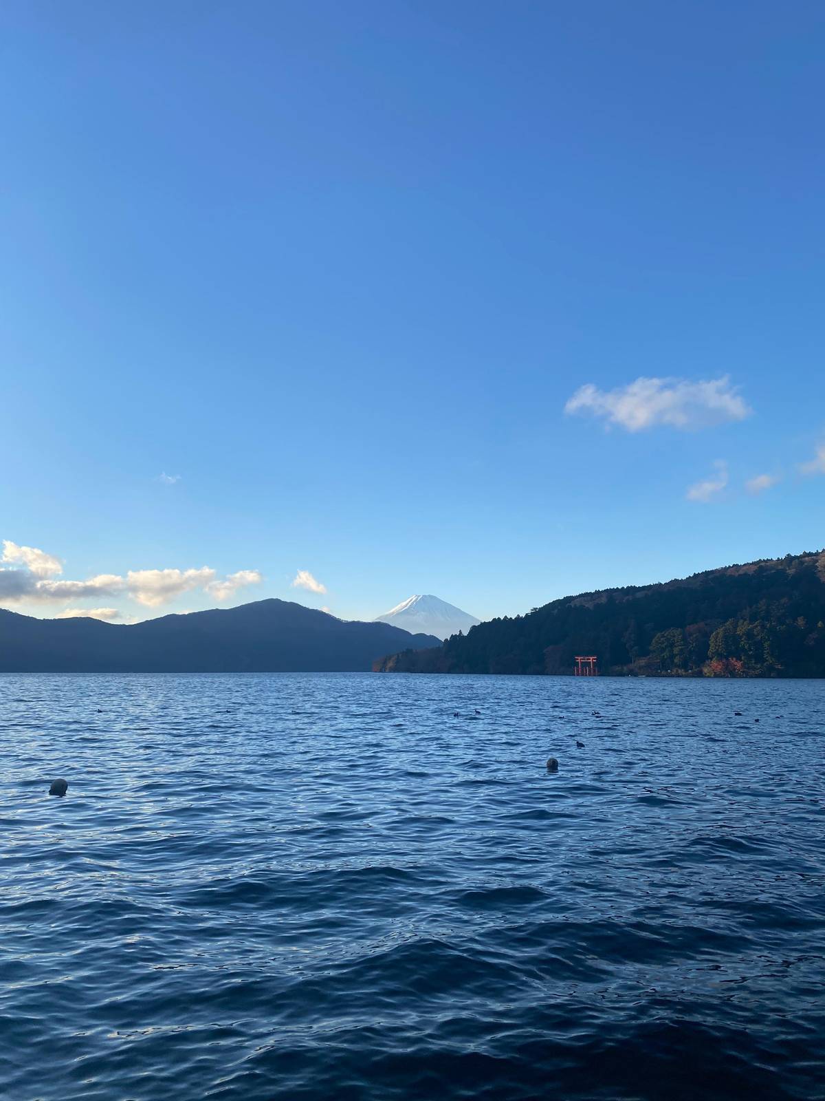 Hakone Hachiri: Old Tokaido Highway Hiking Half-day tour