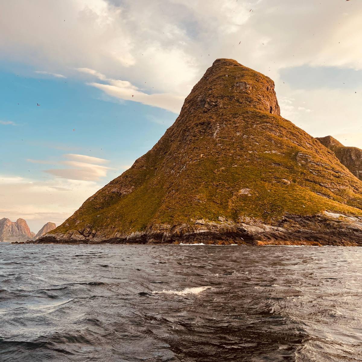 Evening light on the slopes of Bleiksøya