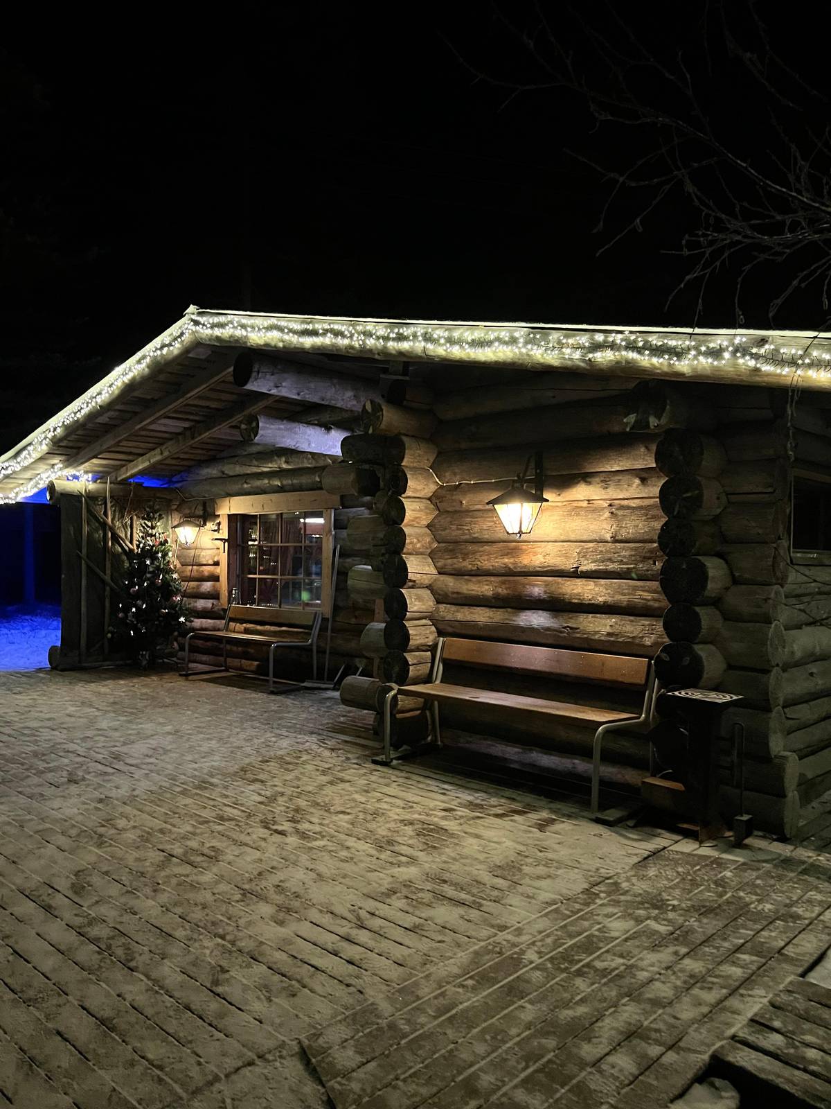 Rovaniemi: Sauna & Ice Swimming Tour with Dinner and Aurora