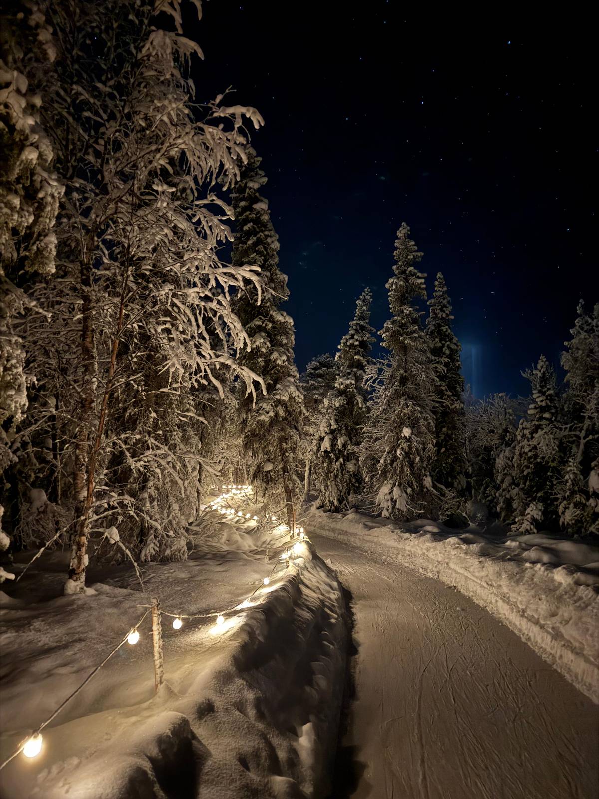 Bulb lights along the snowbank at the edge of the ice