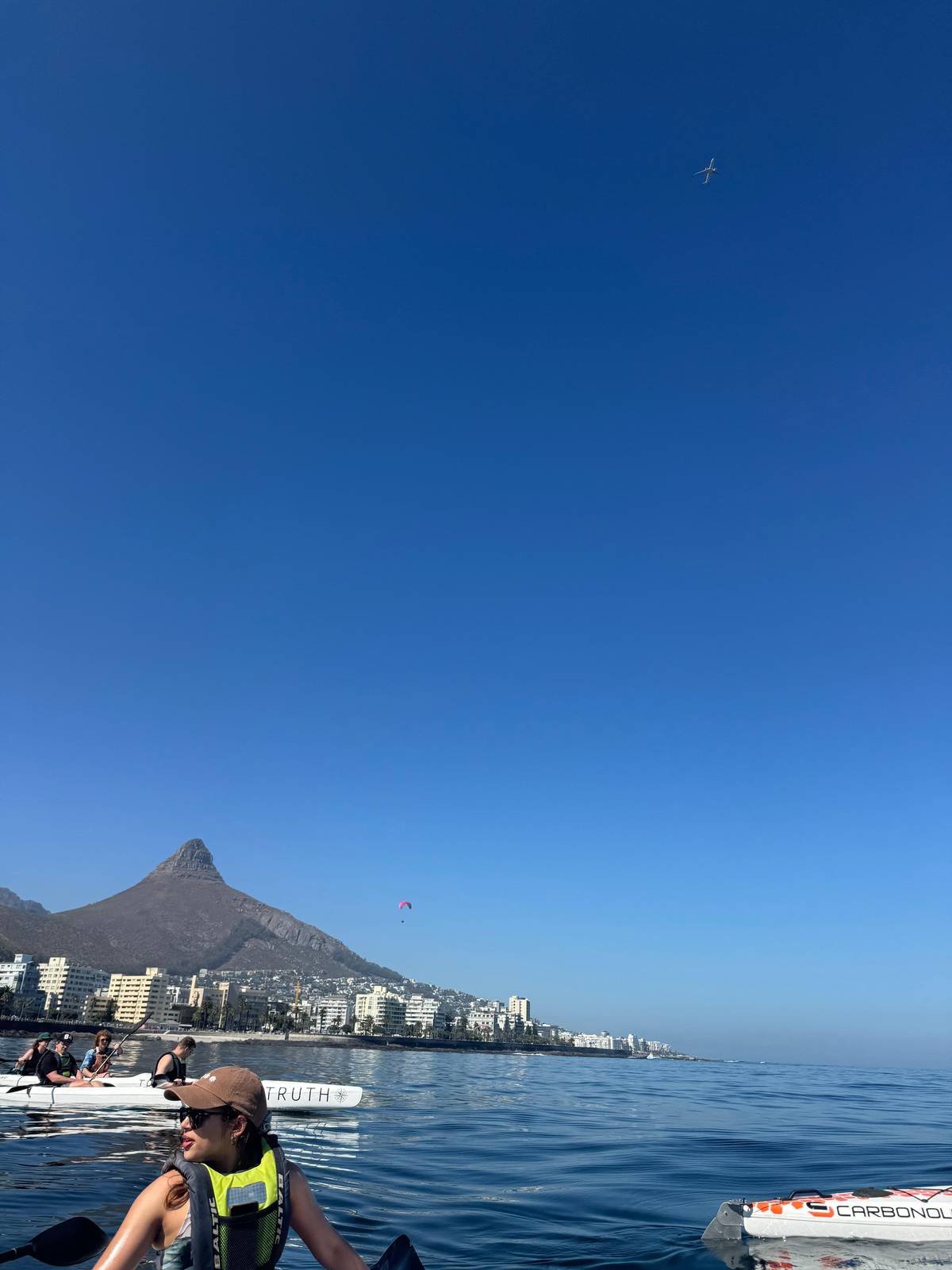Cape Town: Dolphin and Ocean Wildlife Kayaking Adventure