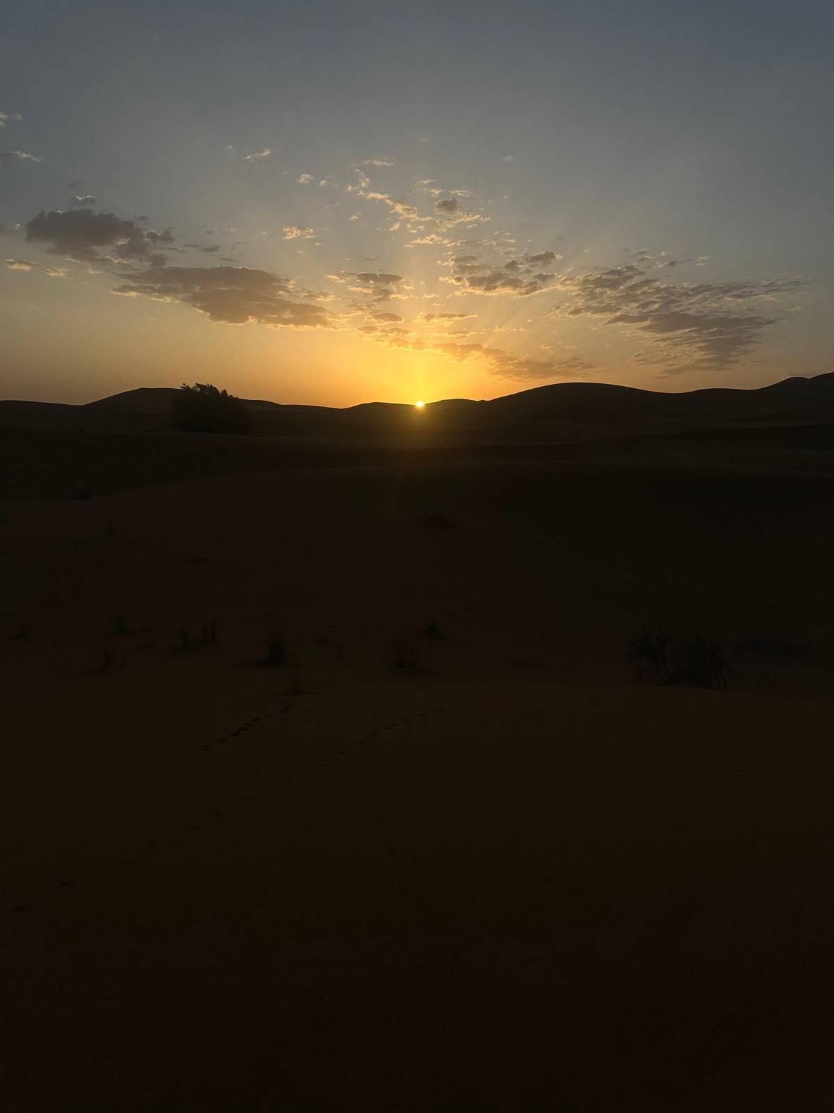 From Merzouga: Overnight Camel Trek over Erg Chebbi Dunes