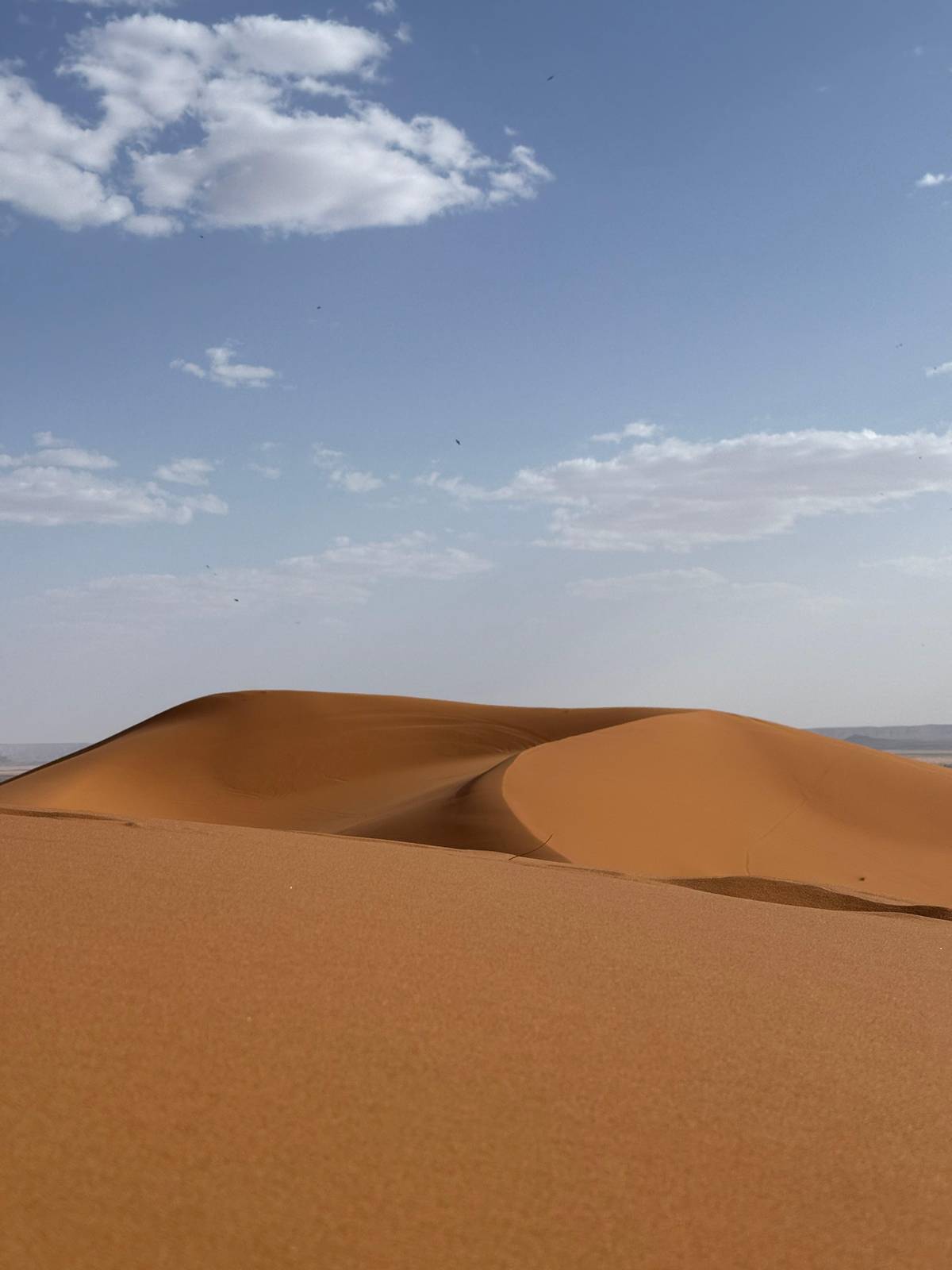 From Merzouga: Sunset Camel Trek & Sandboarding Adventure.