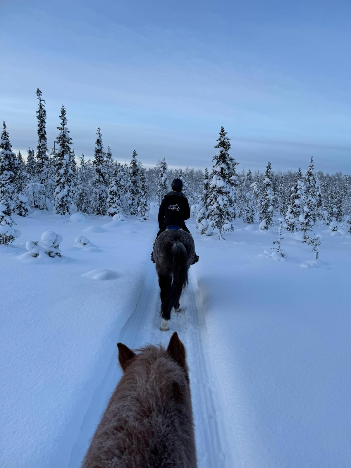 Levi: Horse Ride in the Snowy Forest