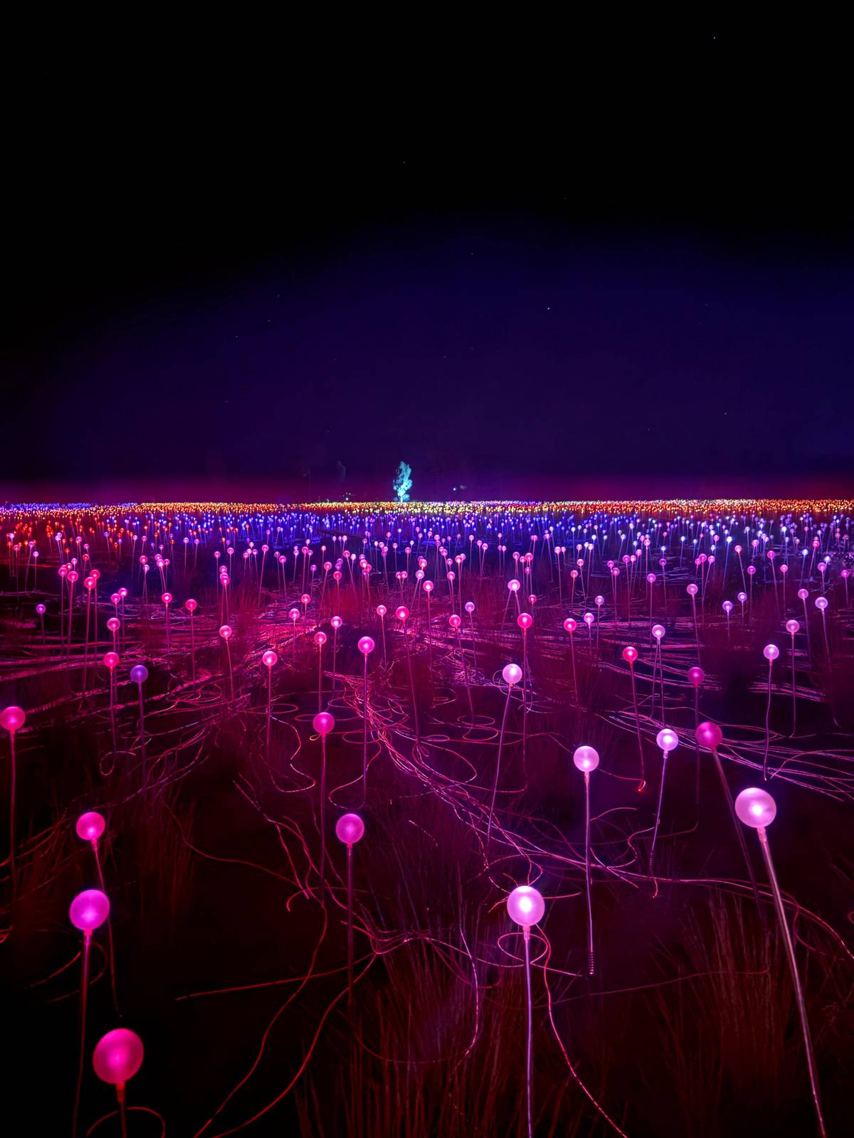 The light installation at dawn