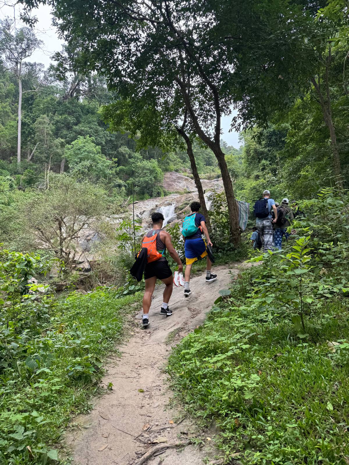 A line of hikers climbing a forest path beside a rocky waterfall