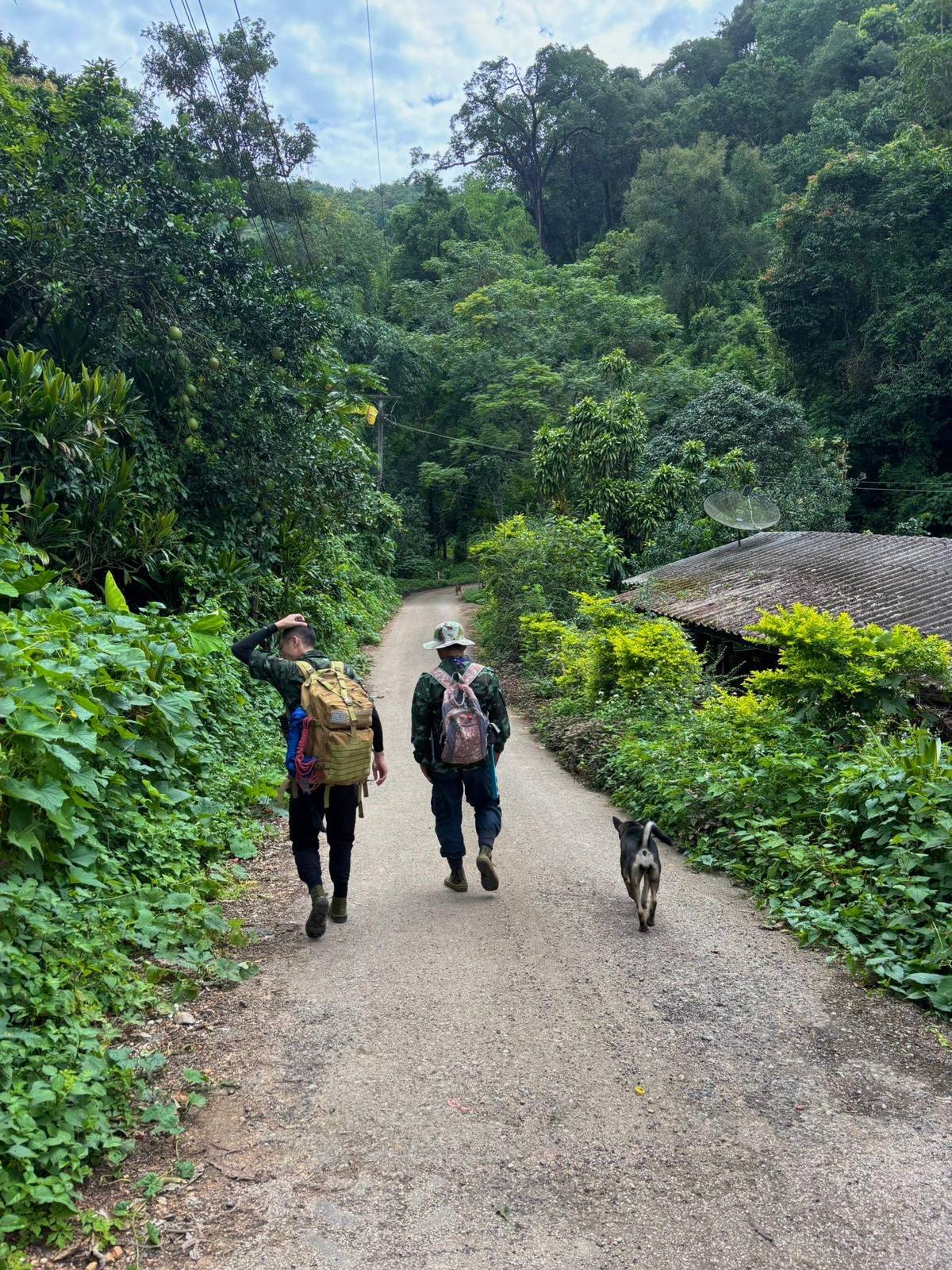 Chiang Mai: Doi Saket Hidden Jungle Trek & Waterfall