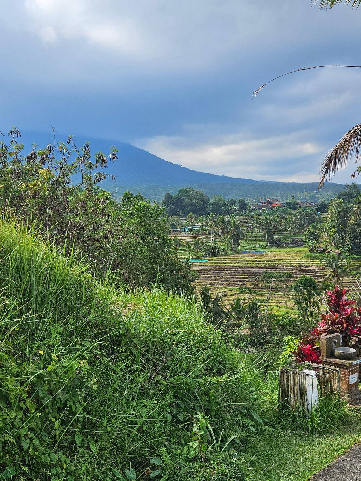 Terraced fields in the Jatiluwih valley