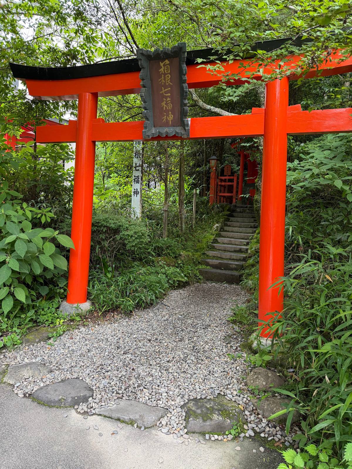 A small torii and a mossy path in the woods