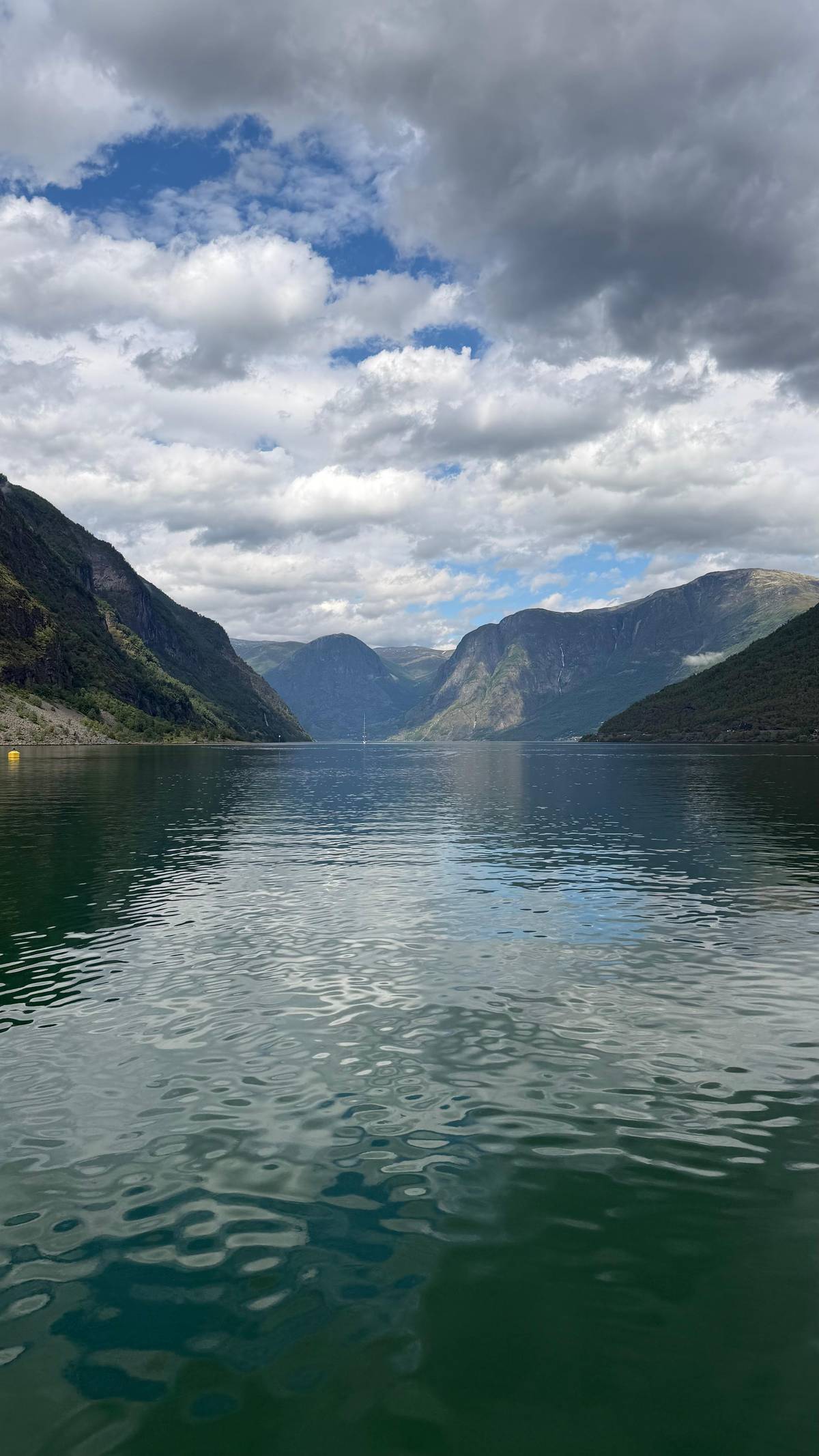 Viking village, Nærøyfjord and Flåm Railway day tour