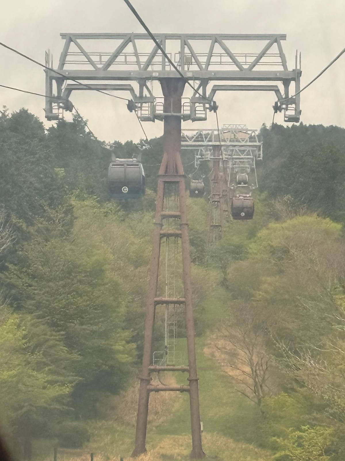 Ropeway gondolas climbing above the forest
