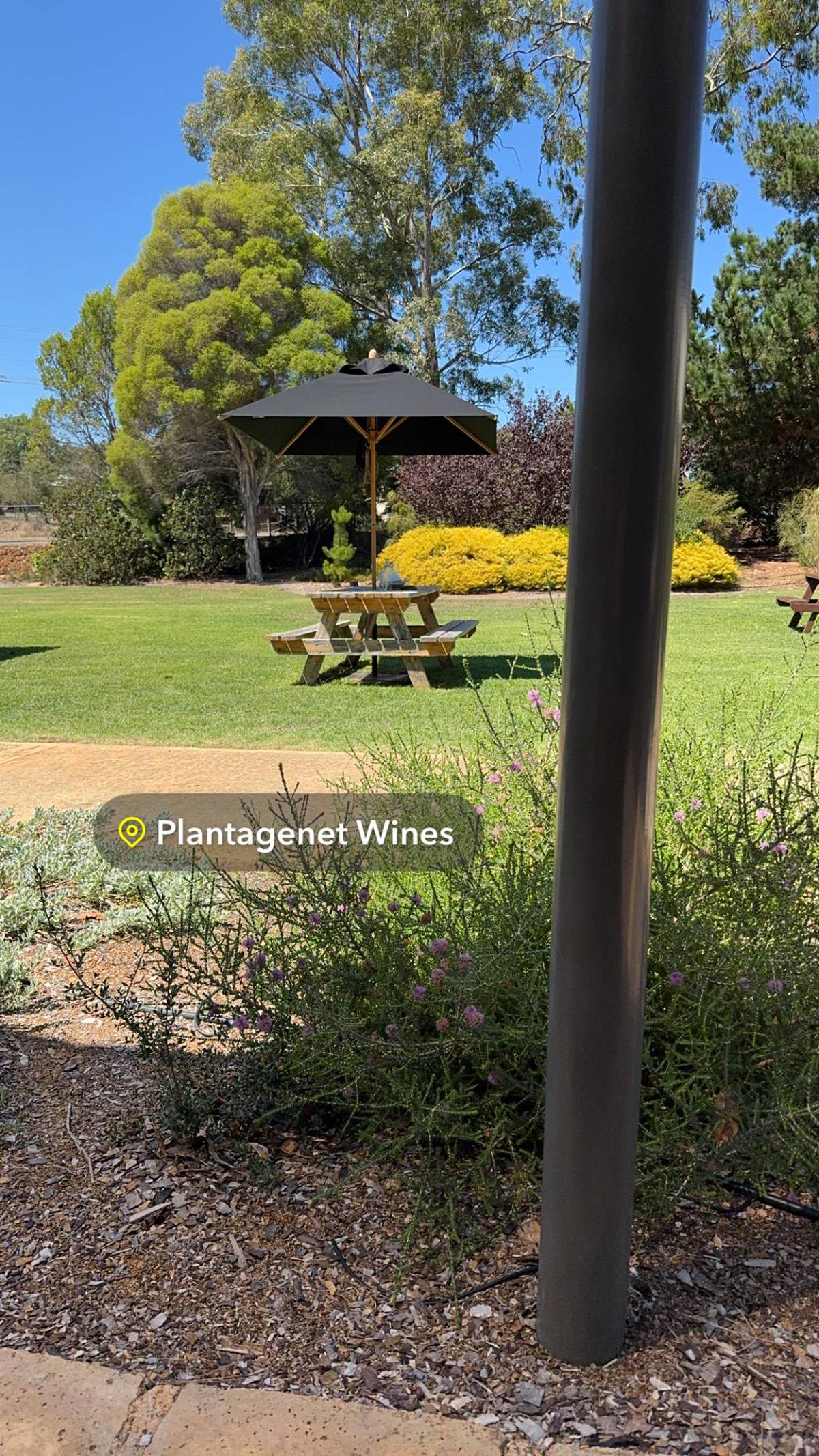 Mount Barker wine tasting day tour from Albany