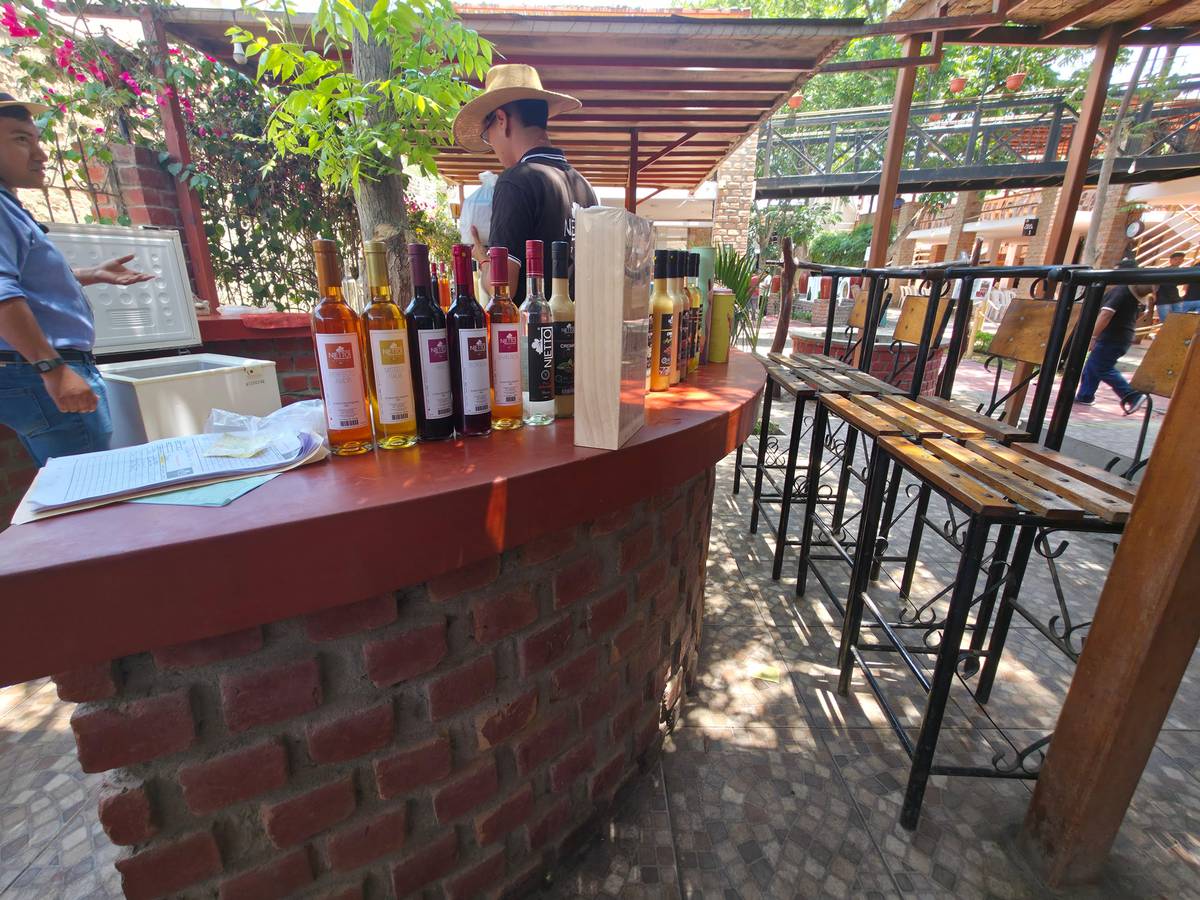 Ica: Pisco and Wine Route with Tastings at 3 Wineries