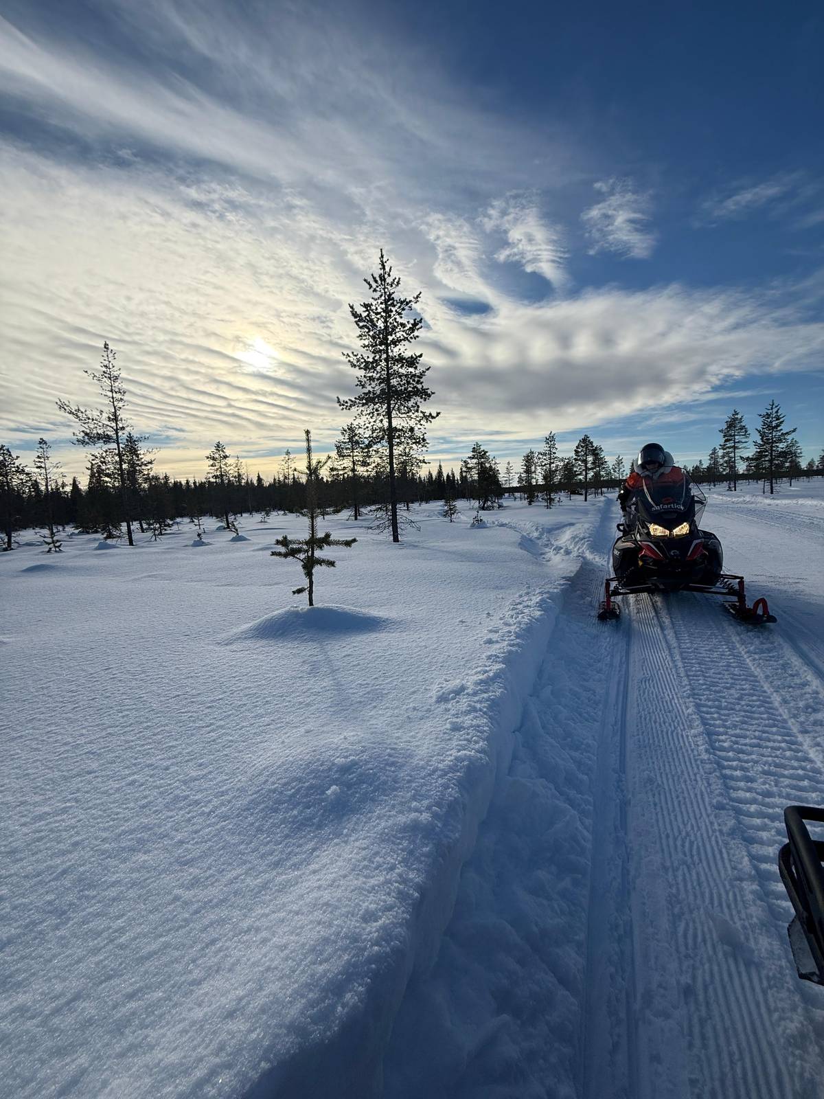 A rider on a track lined with small snowy pines