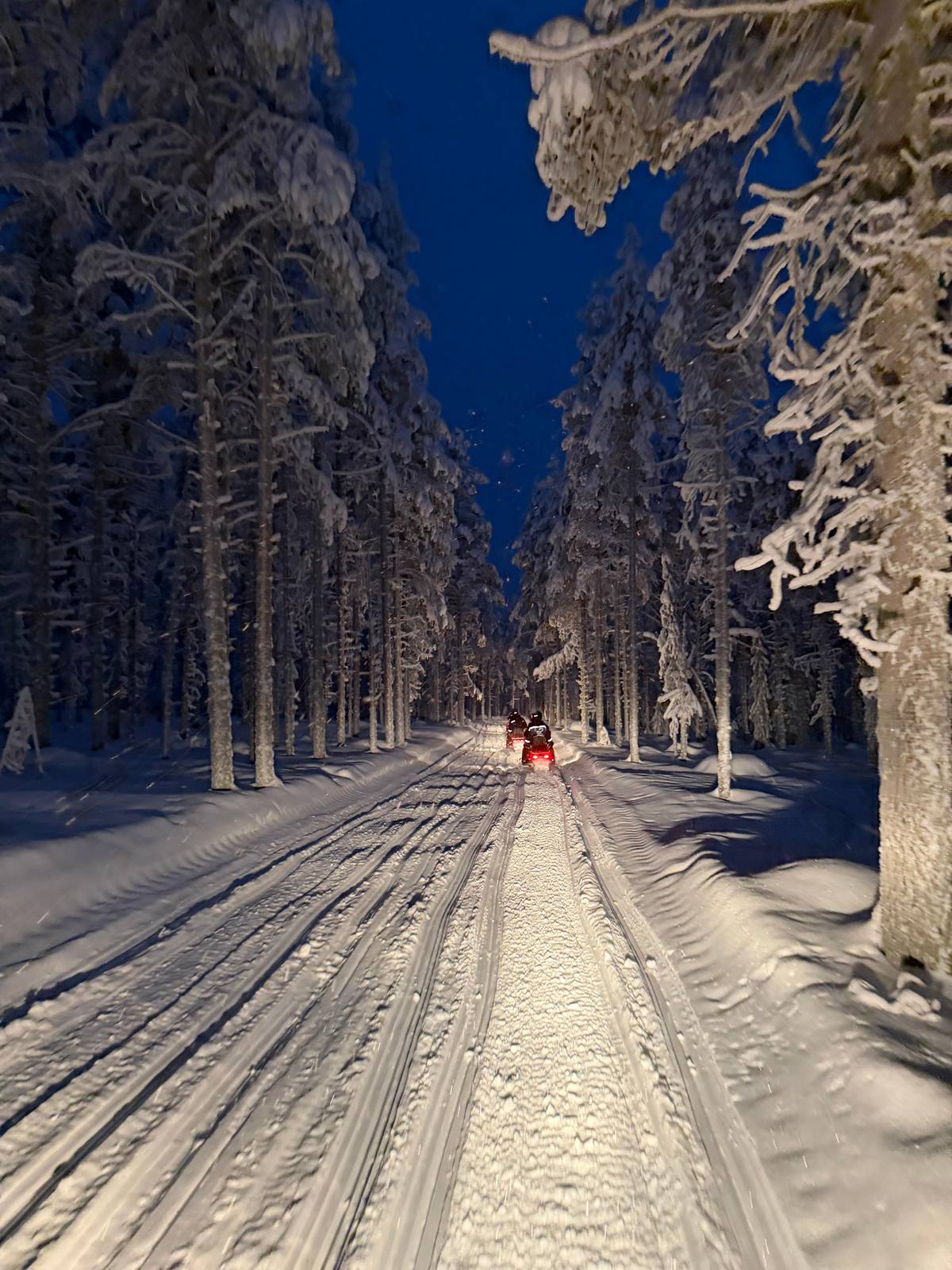 Levi: 3-Hour Snowmobile Safari Around Levi with a Coffee Break