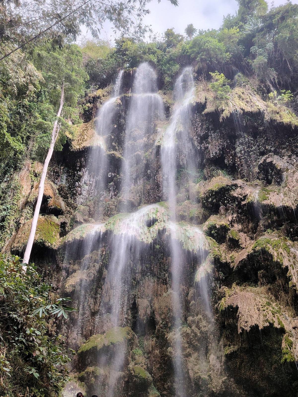 Tumalog Falls spilling down its mossy wall