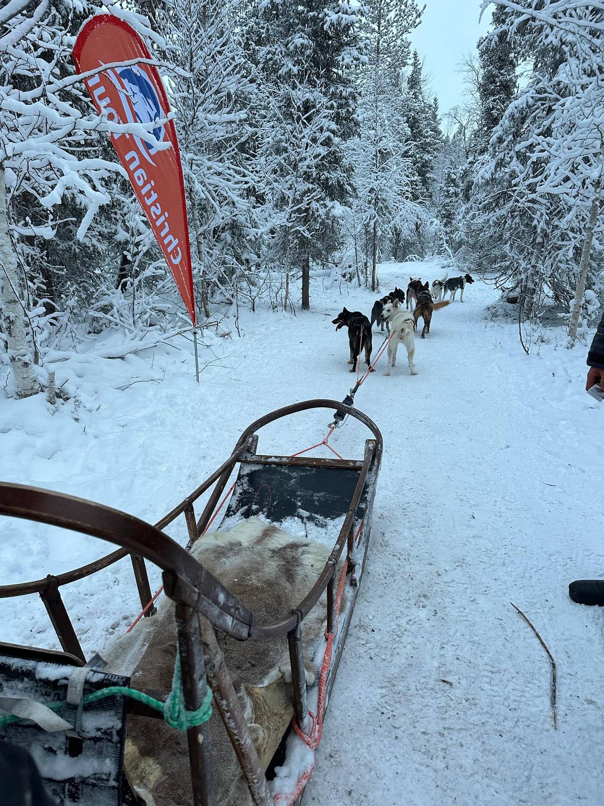 Levi: Thrilling 2 km Husky Sled Ride