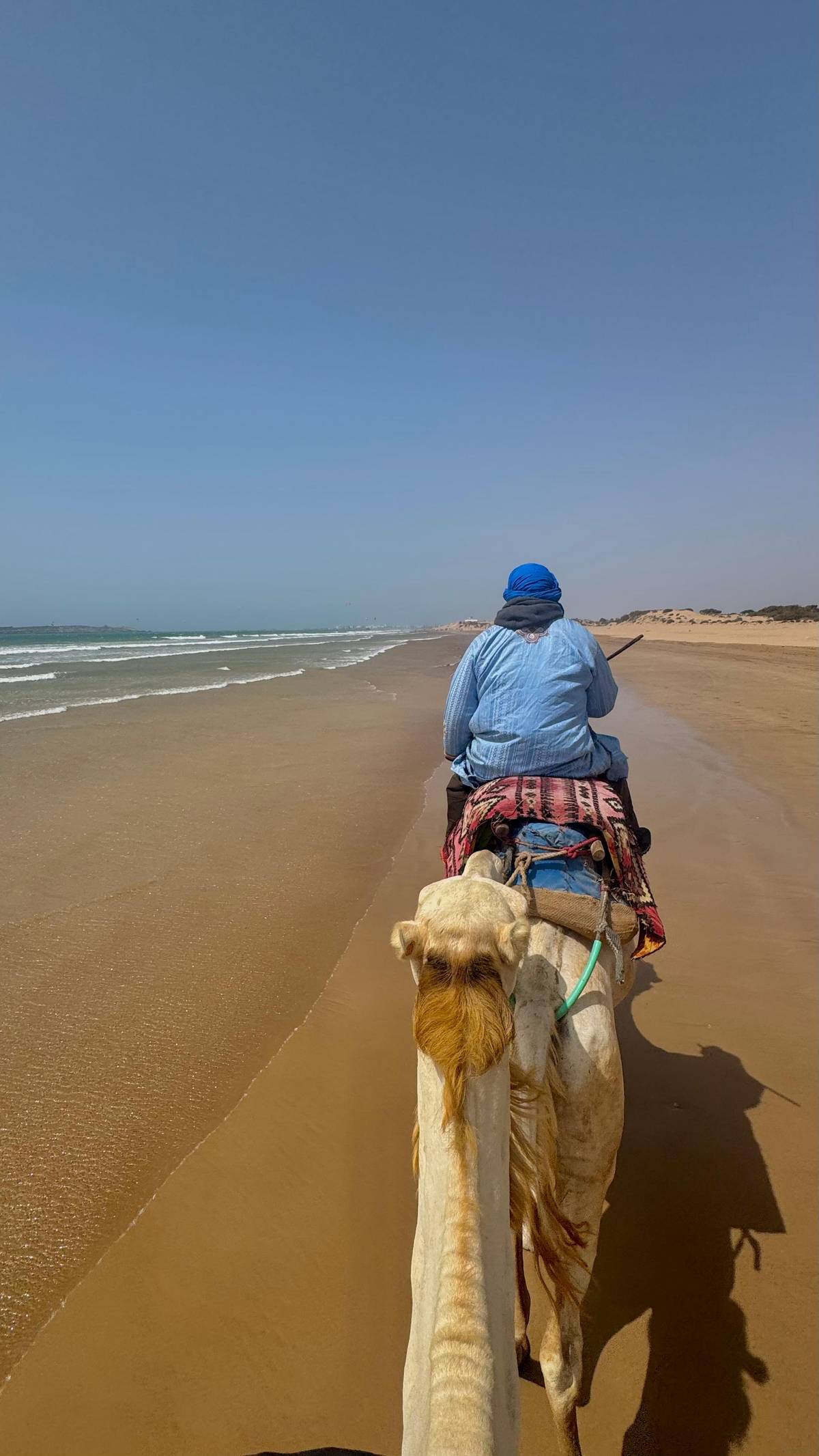 Essaouira: 2-Hour Camel Ride on Beach and Dunes