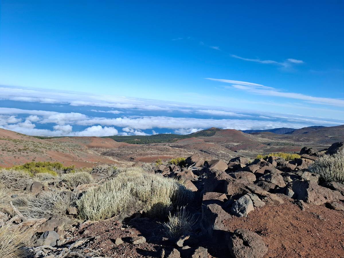 Tenerife: Mount Teide Observatory Guided Tour
