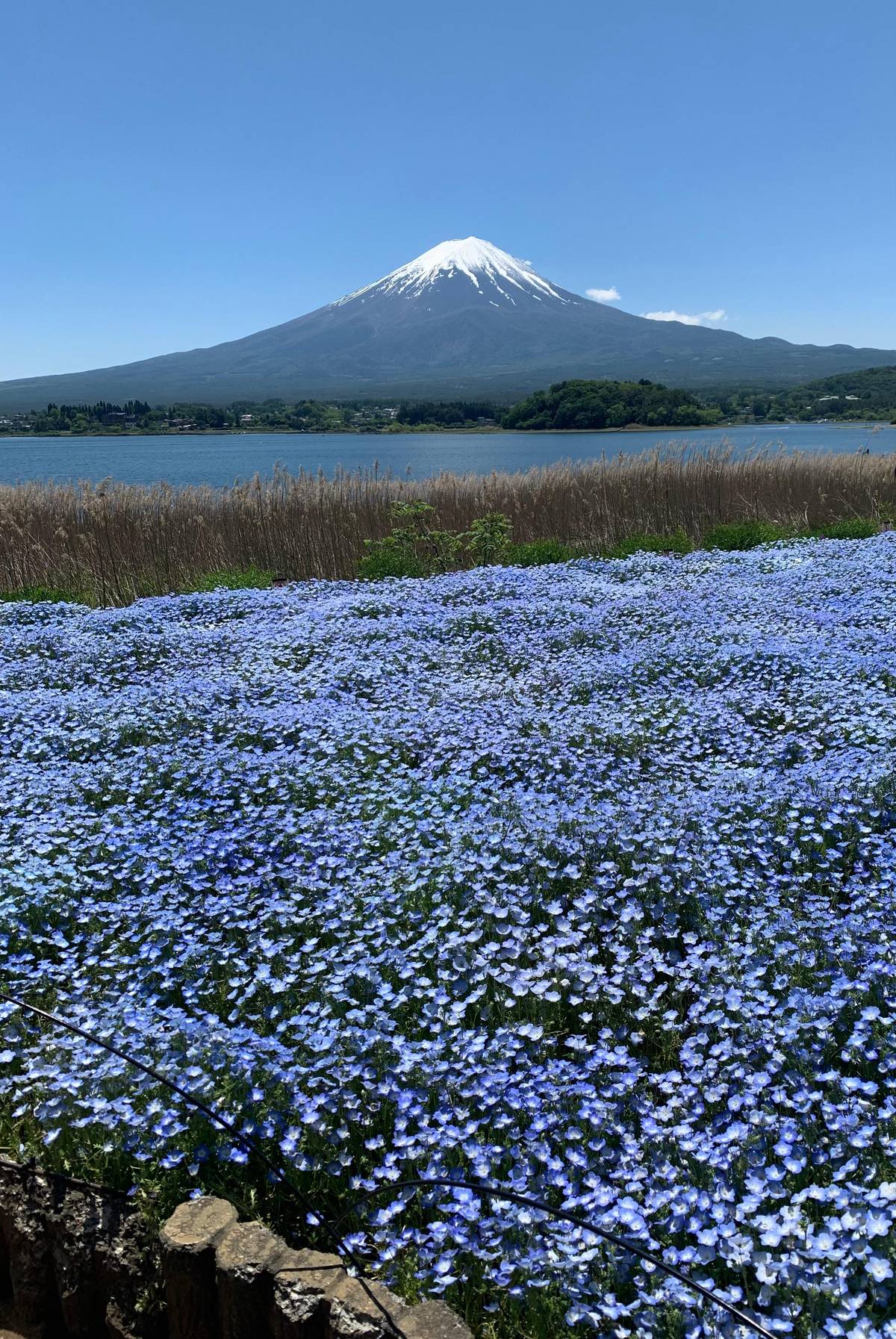 From Tokyo: Mount Fuji Full-Day Highlights Sightseeing Trip