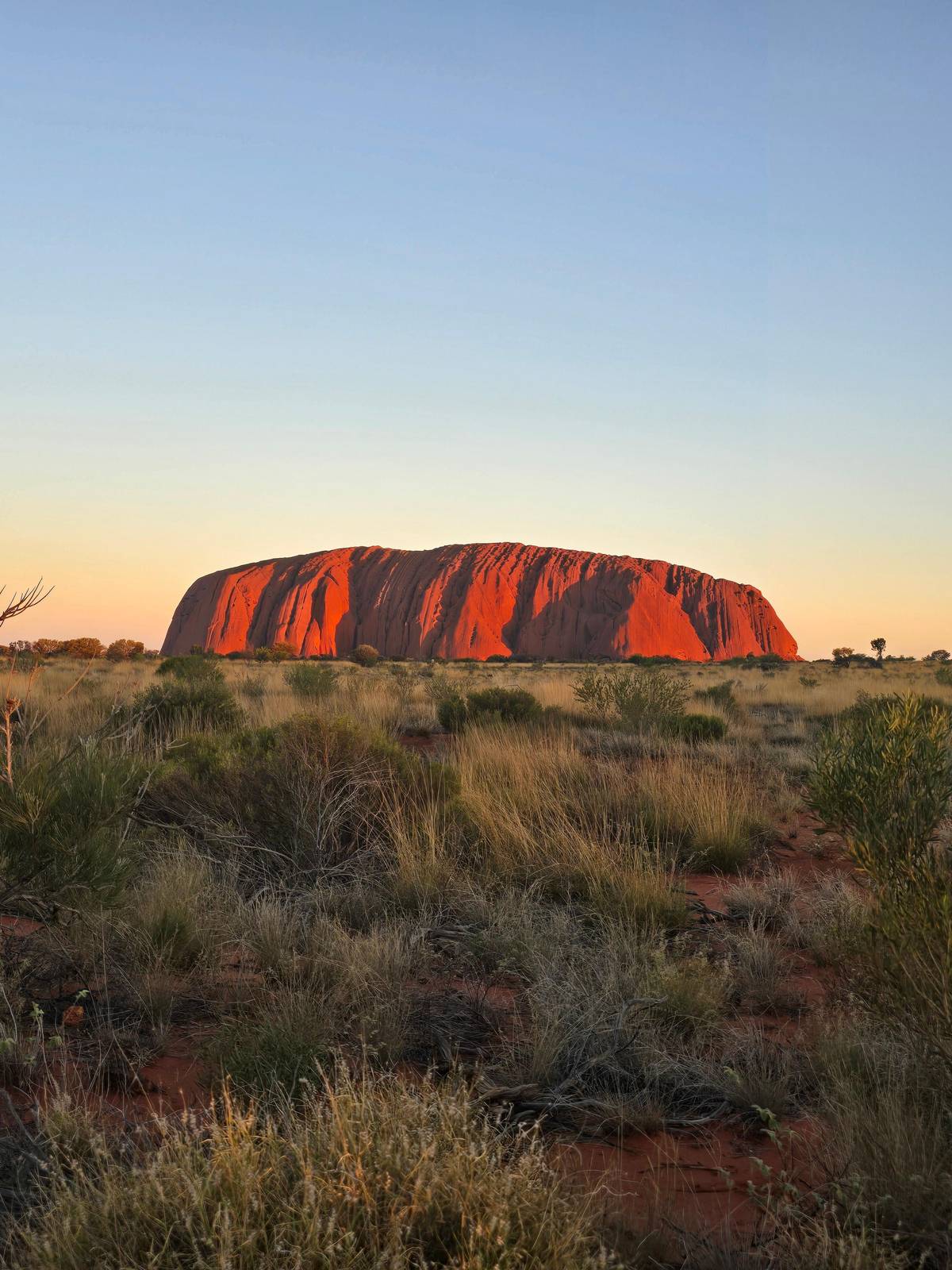 Uluru in deep red under a pale evening sky
