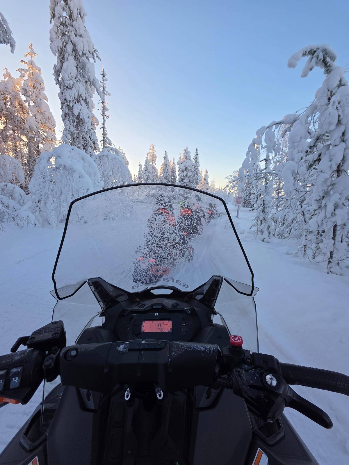 The view over the handlebars into a forest of snow-loaded trees
