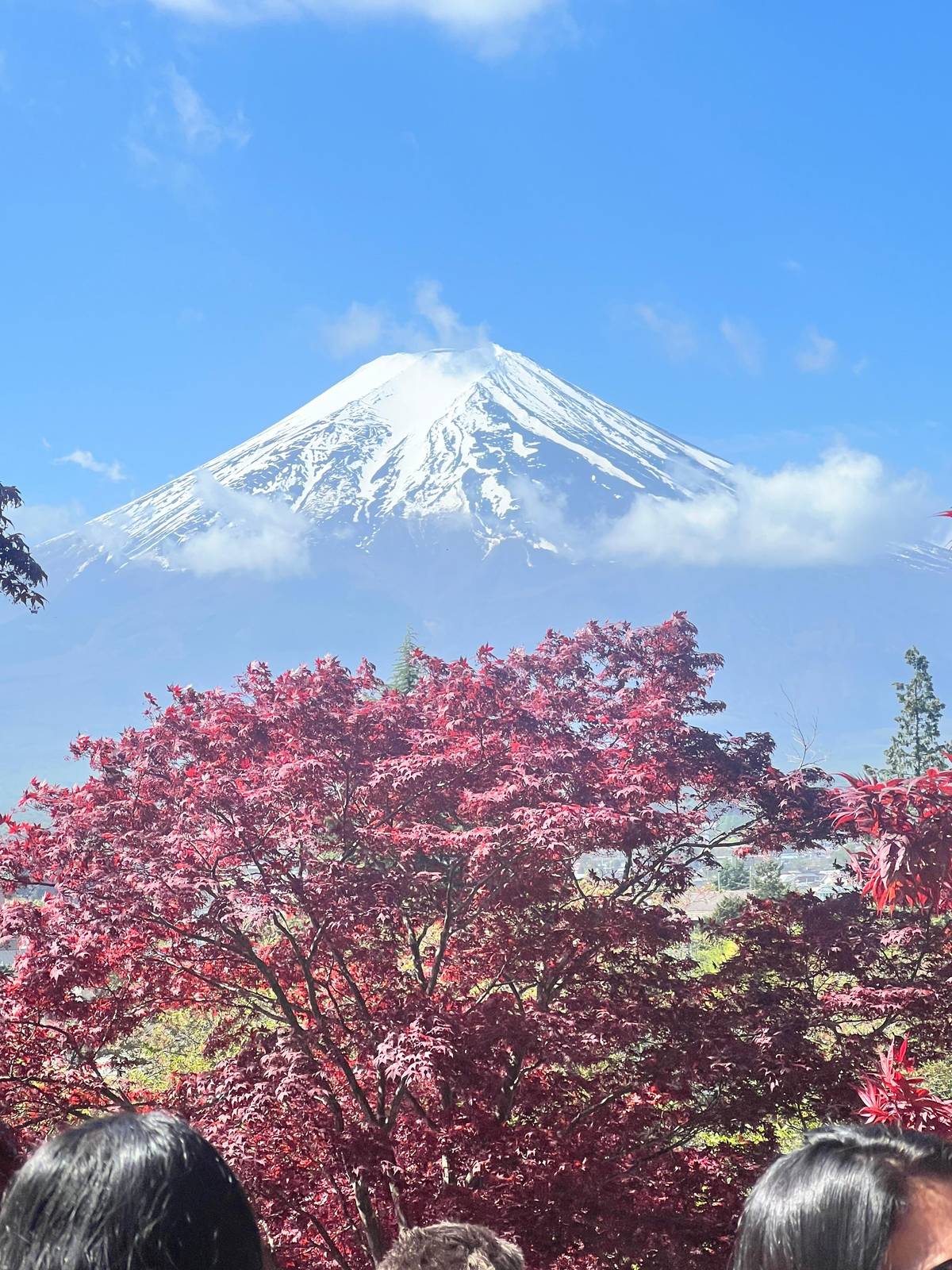 Fuji above red maple leaves on a clear day