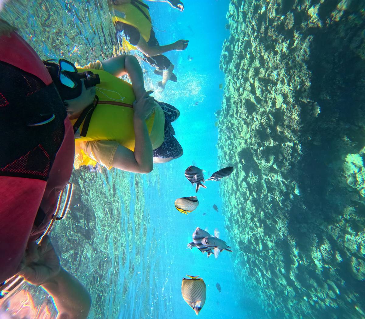 From Naha or Chatan: Blue Cave Snorkeling, Boat Entry