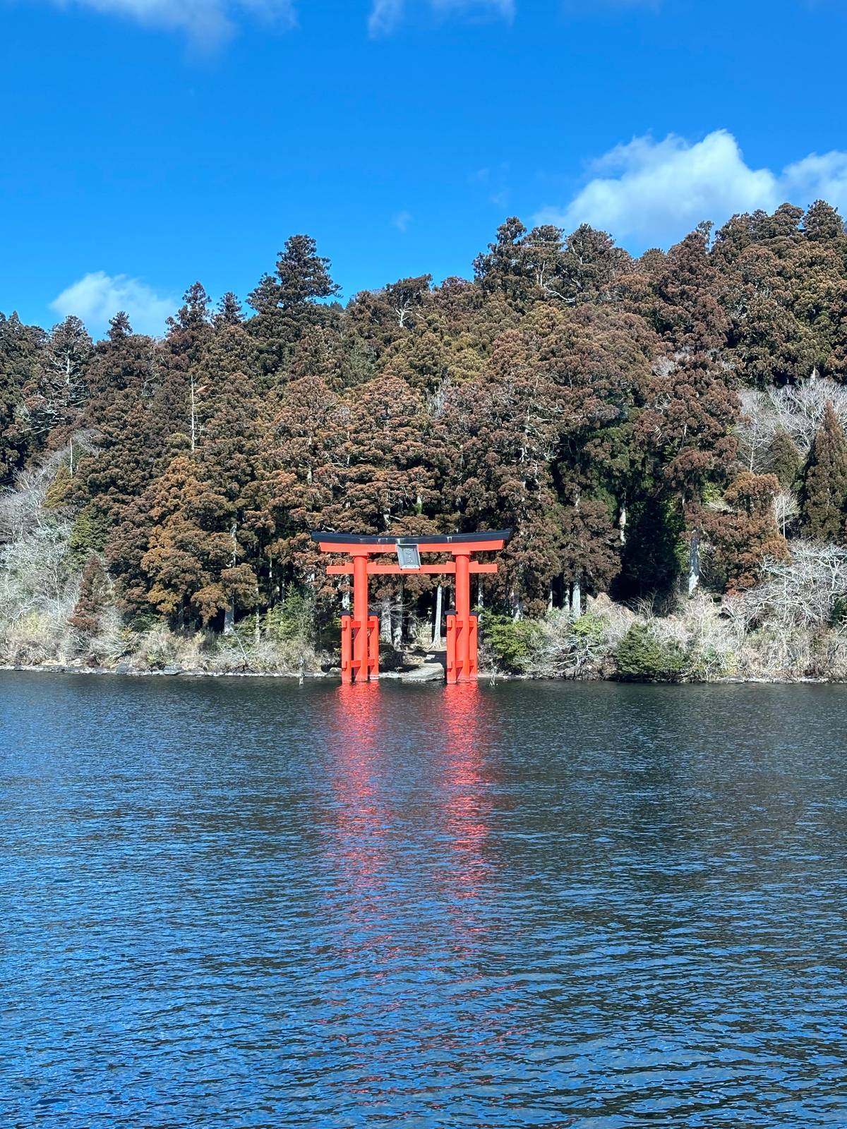 The lakeside torii seen from the water