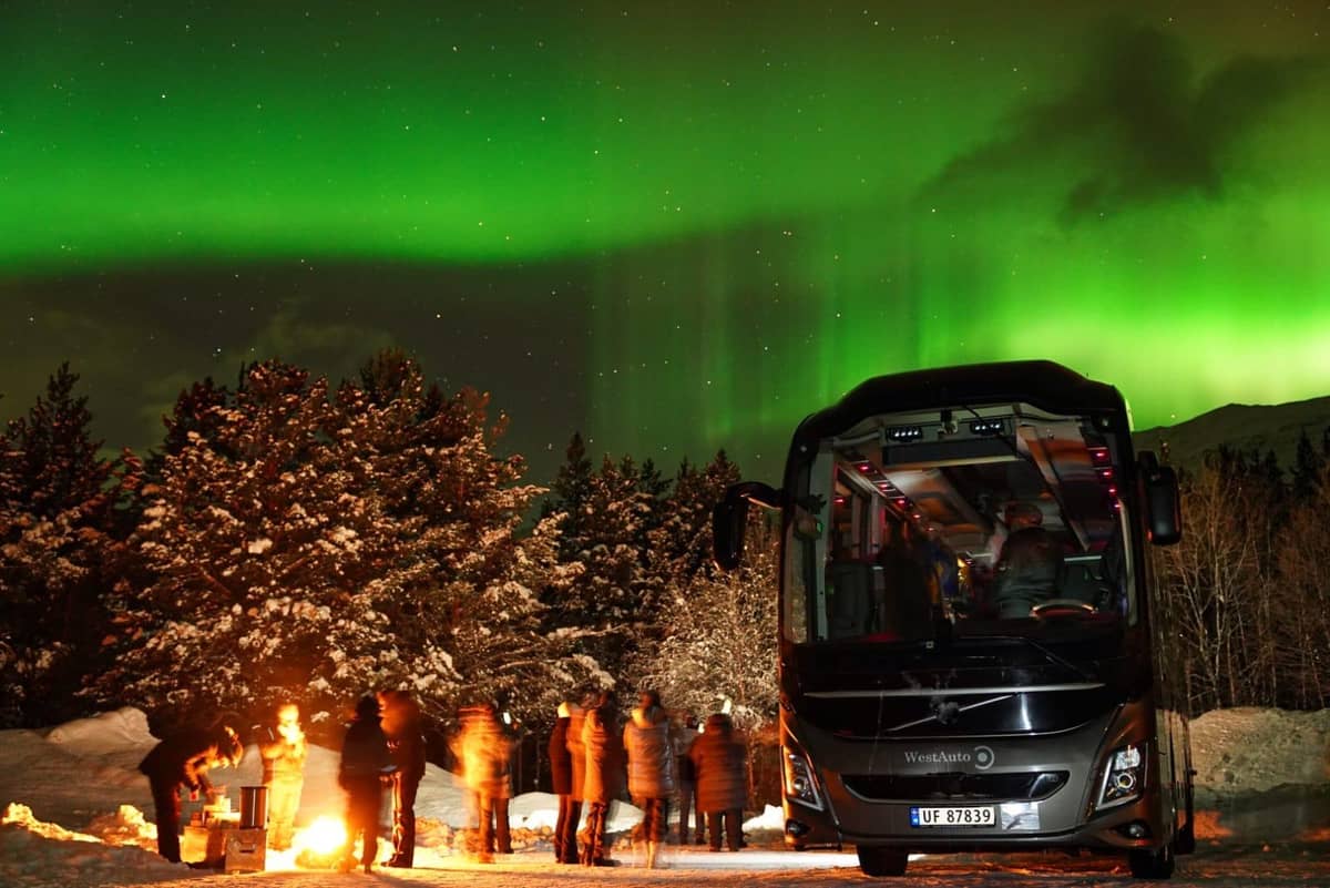 Der Safaribus unter grünem Himmel