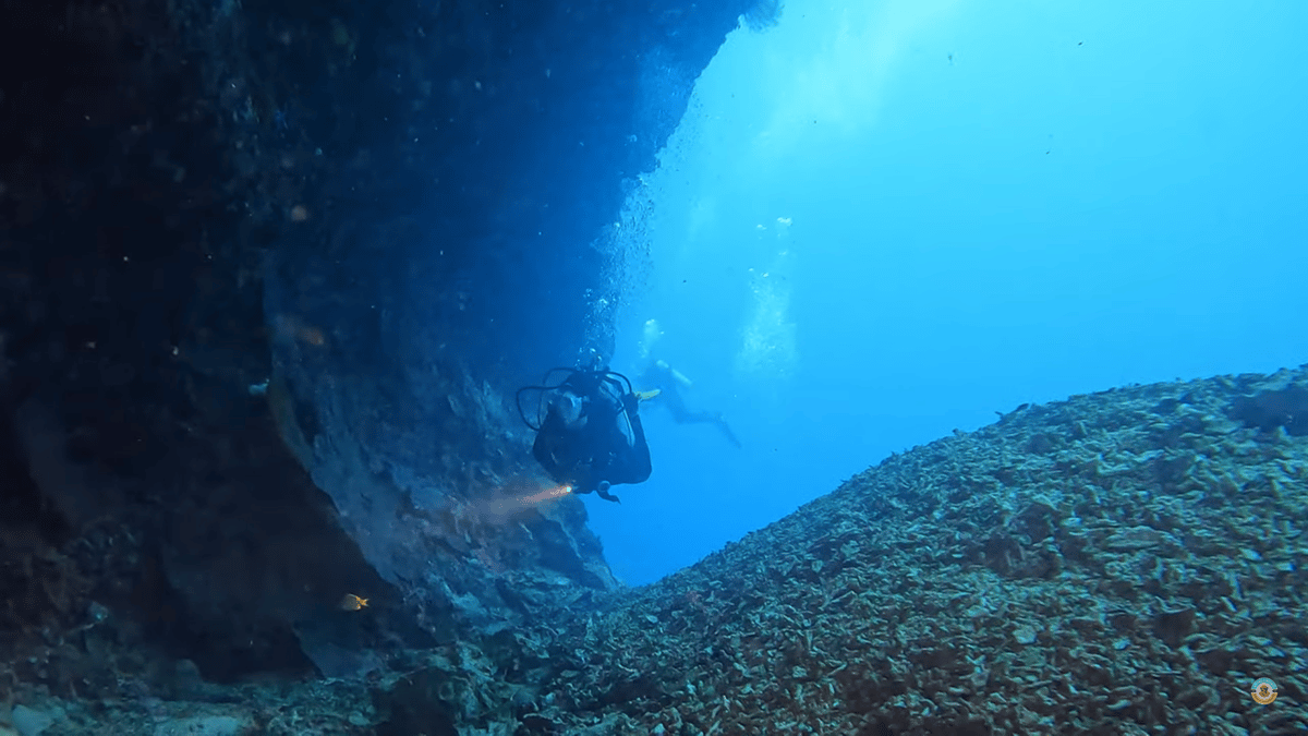 Moalboal : Scuba Diving Sardine Run and Turtle Chasing