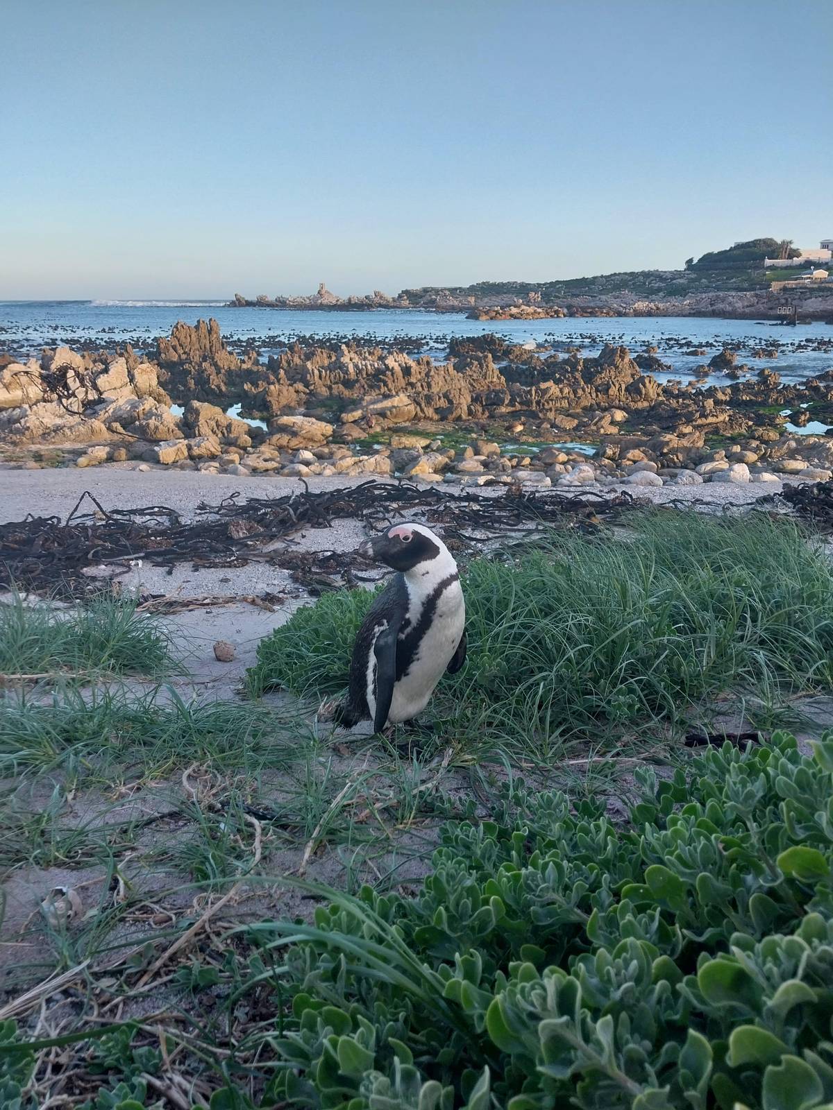 10-Day South Africa Tour from Johannesburg to Cape Town