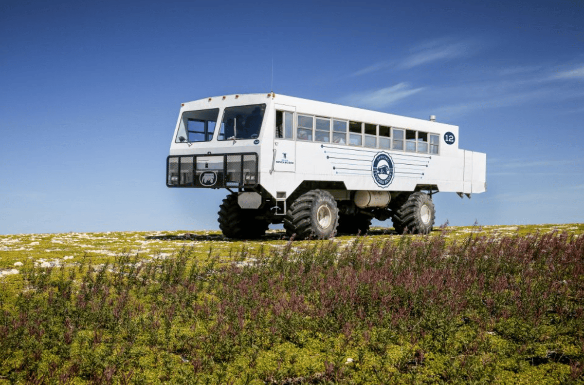 The Tundra Buggy on the tundra