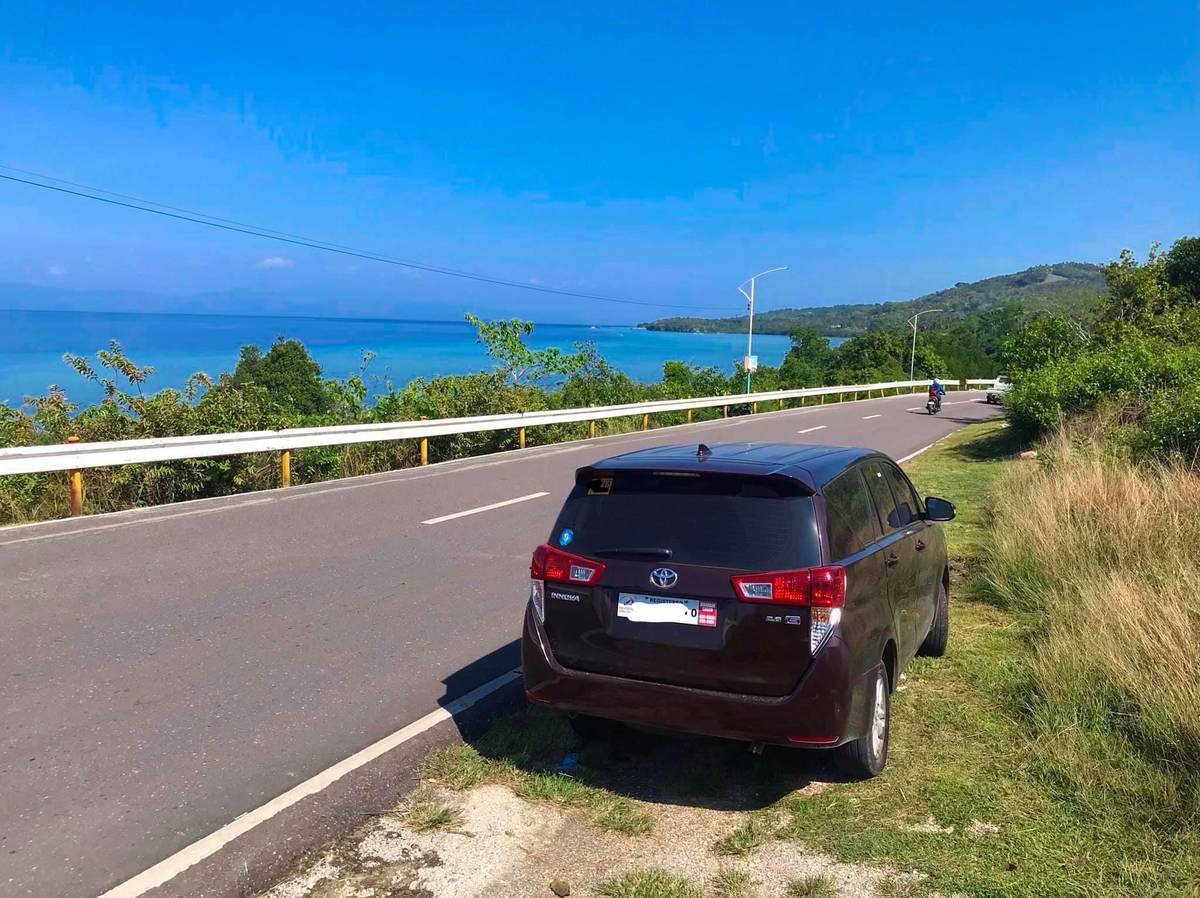 Cebu: Airport/Hotel to Moalboal Private Transfer