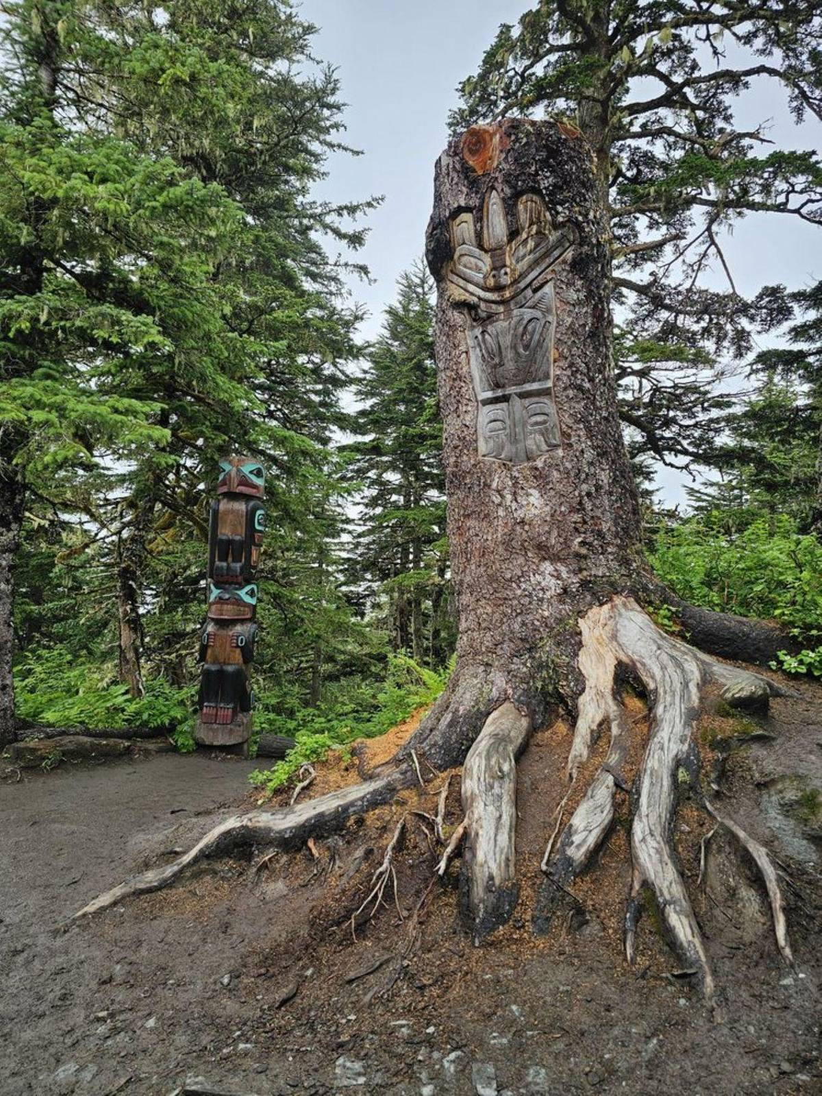 Juneau: Tram, Trails and Ale Tour