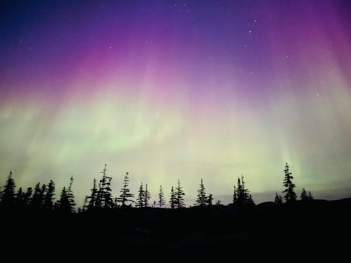 Churchill: Private Northern Lights and Arctic Night Car Tour